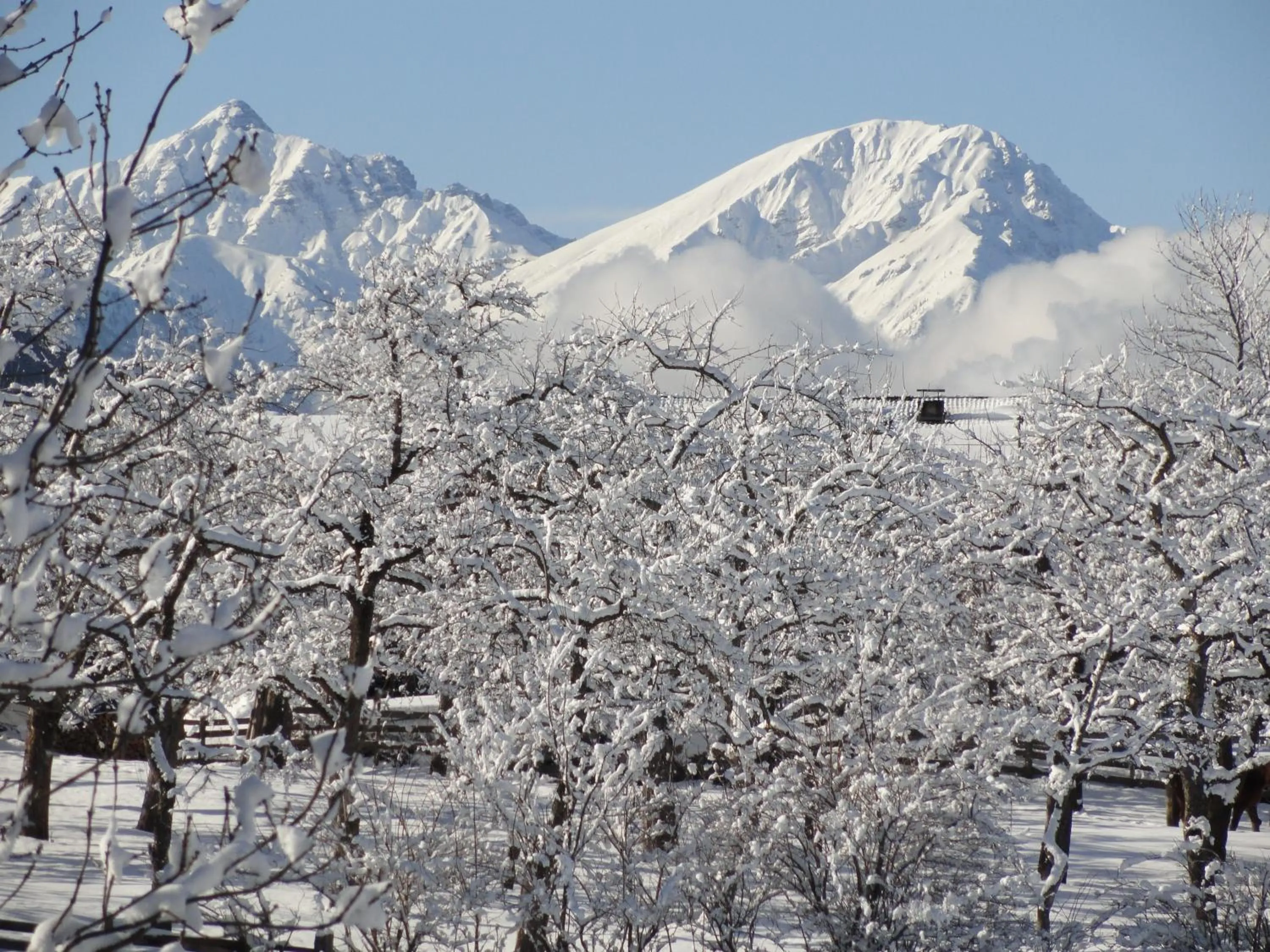 Natural landscape in Appartements Glungezer