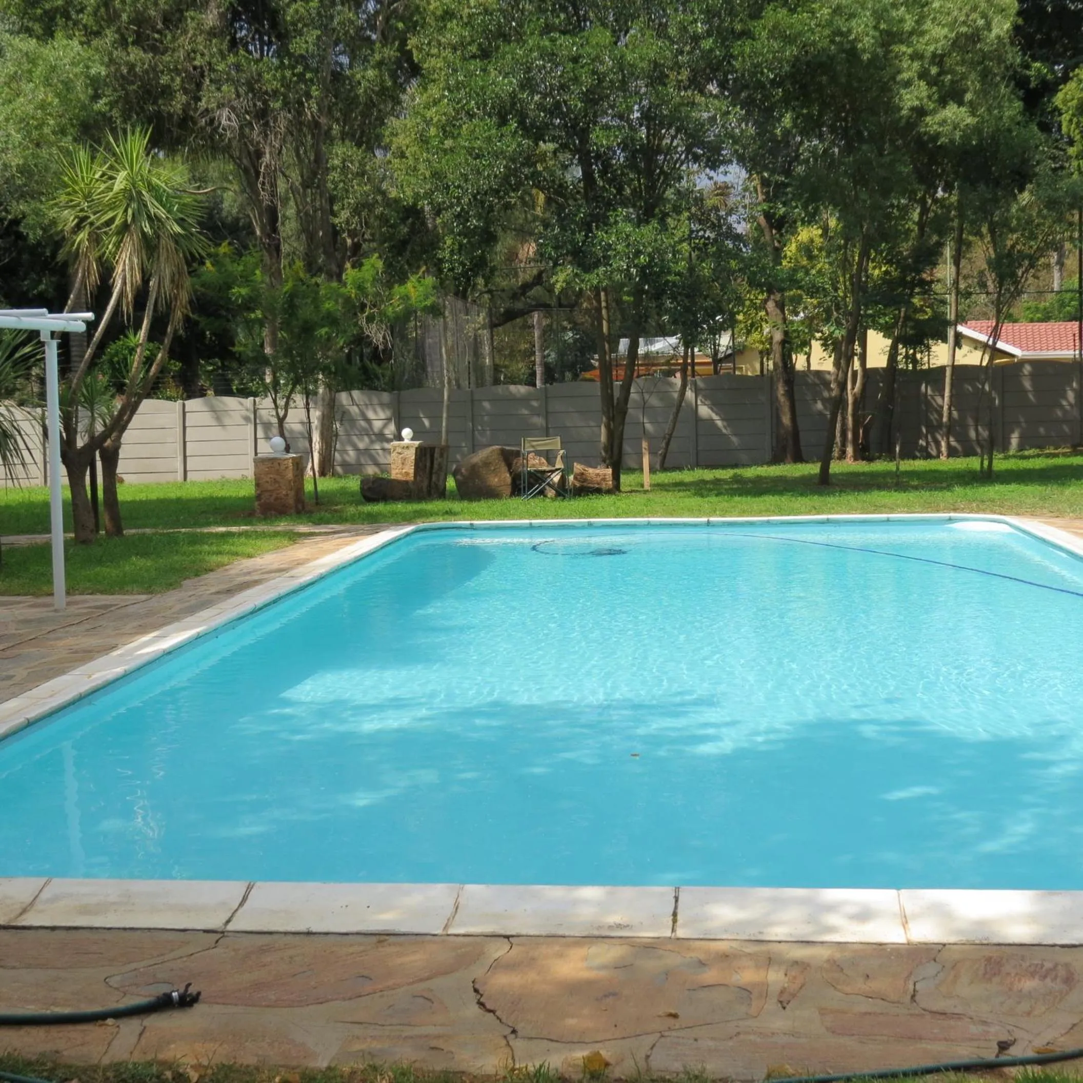 Garden in Waverley Guest House