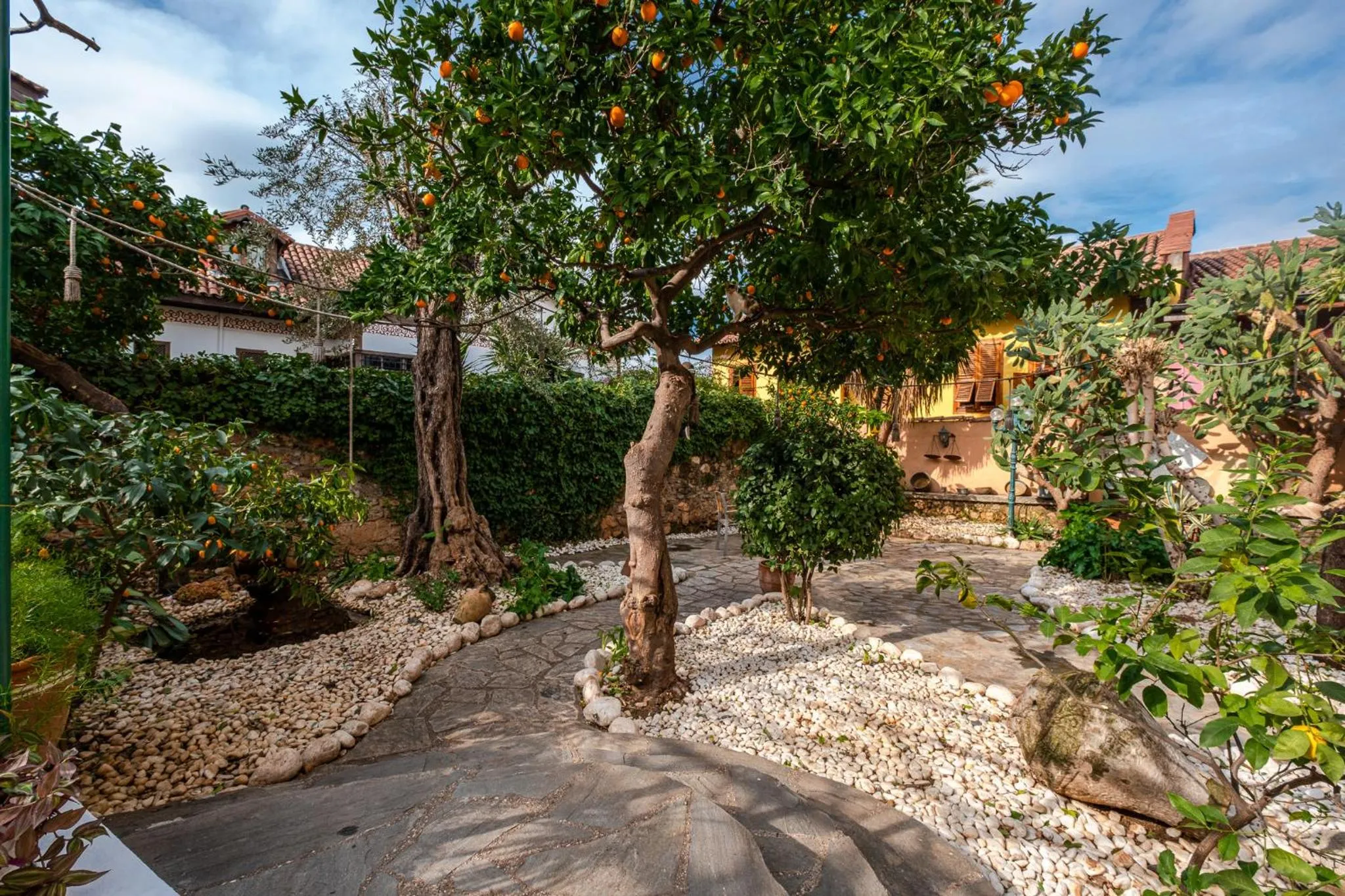 Garden in Villa Tulipan