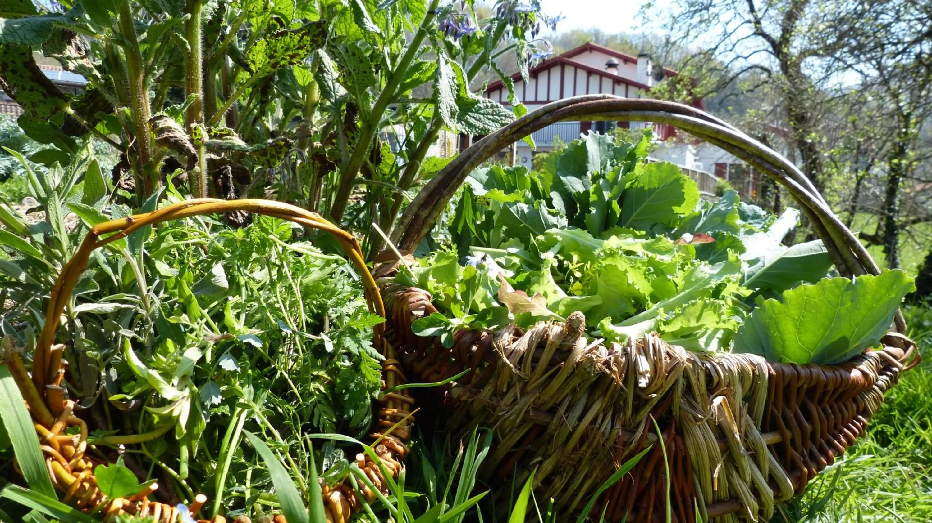 Garden in Logis Hotel Xoko-Goxoa