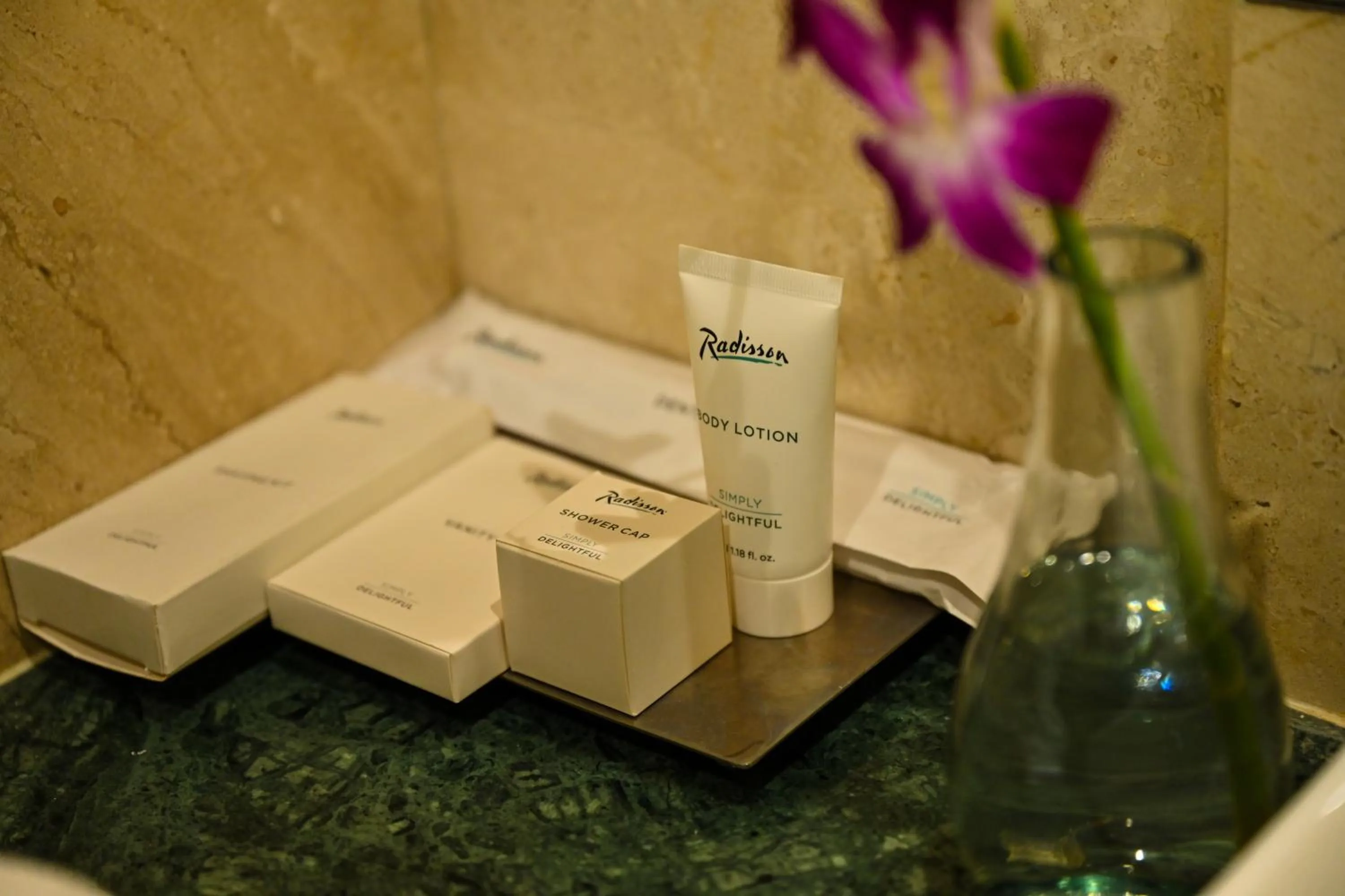 Toilet in Radisson Jodhpur