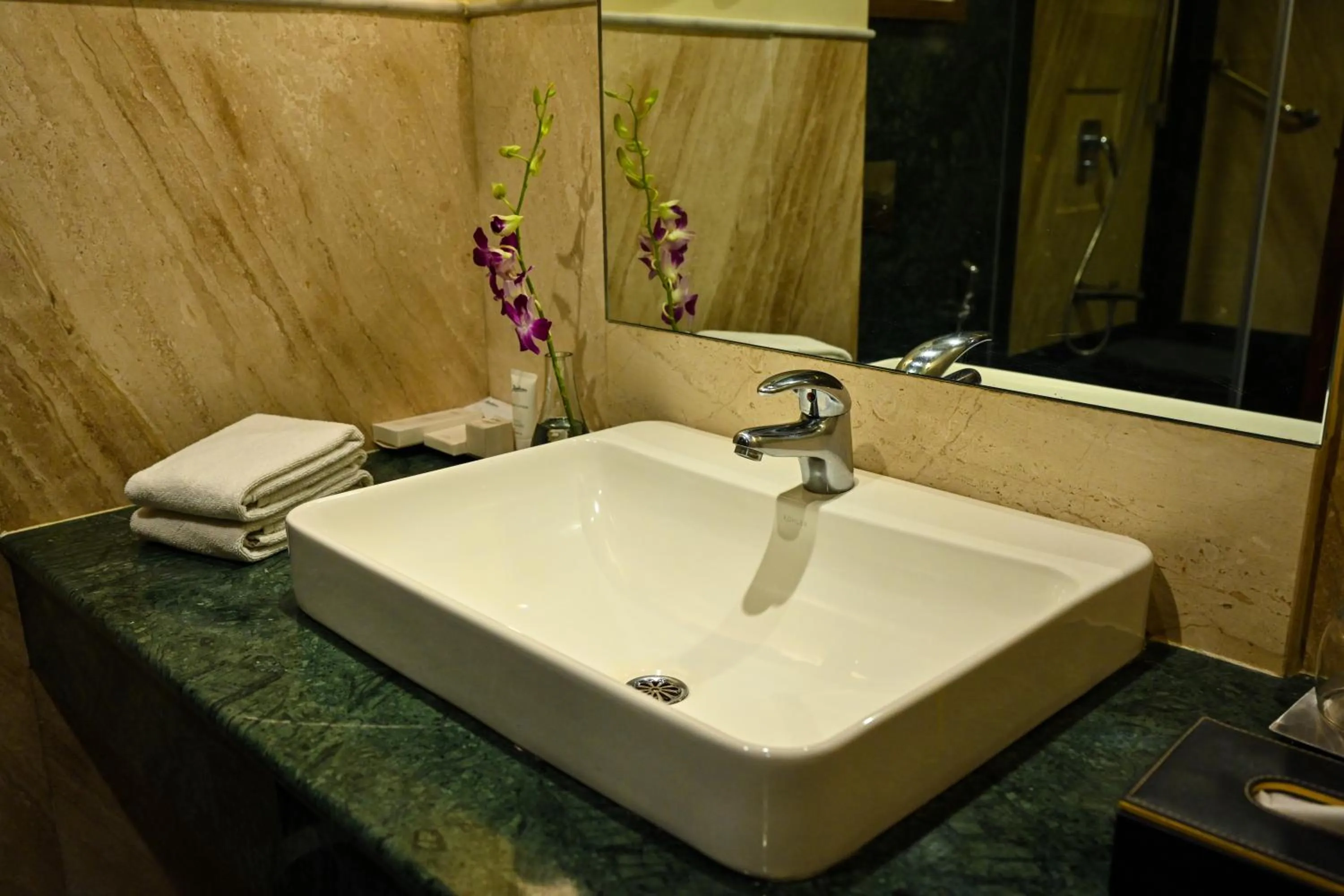 Bathroom in Radisson Jodhpur