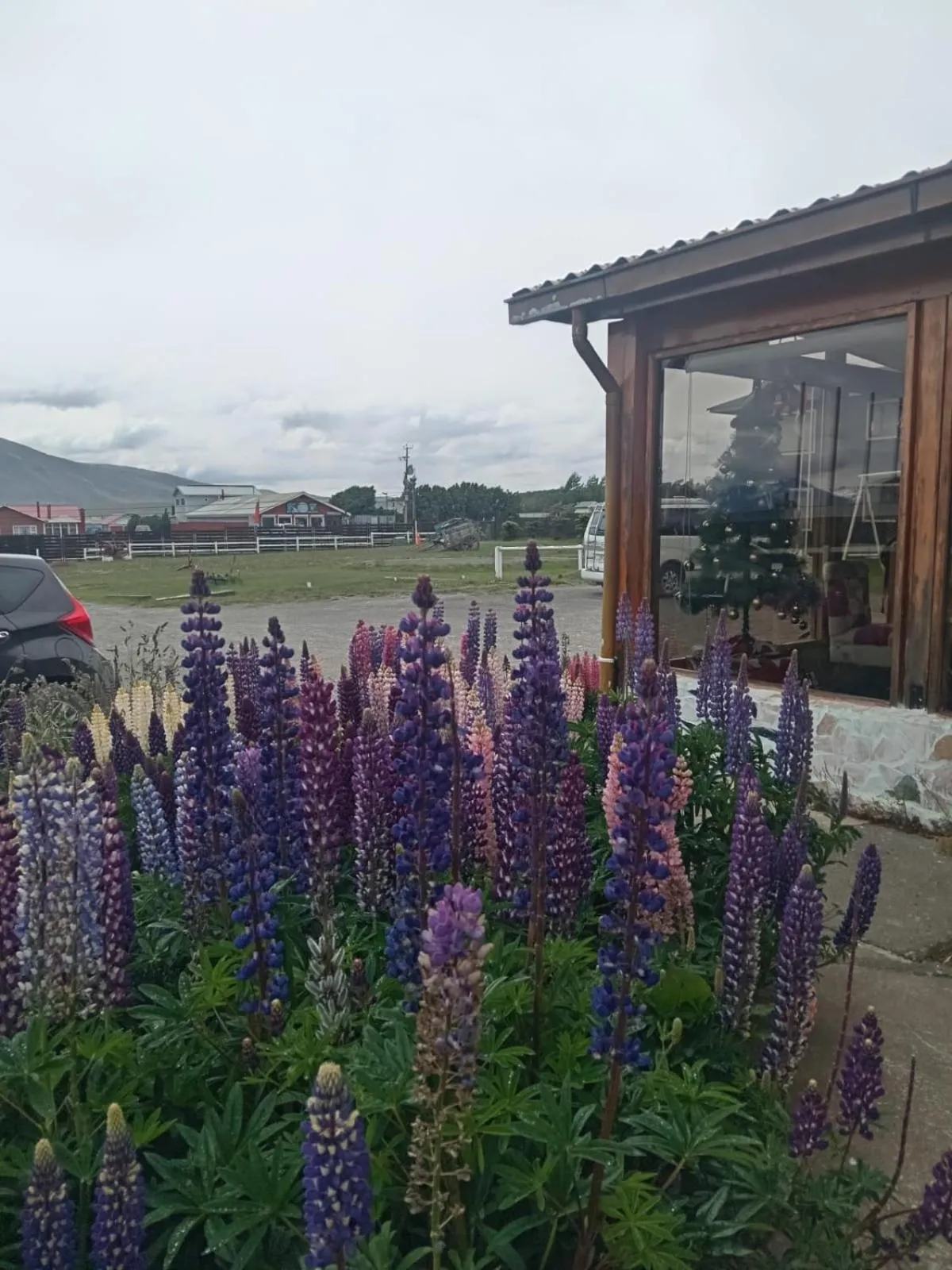 Garden in Hostal Doble E Patagonia