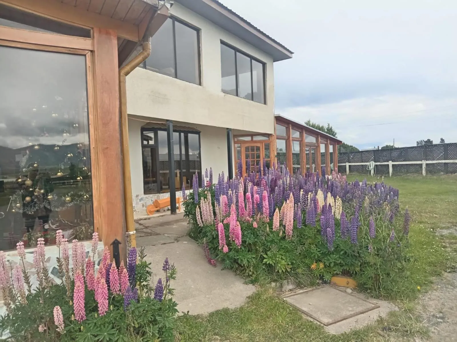 Garden view in Hostal Doble E Patagonia