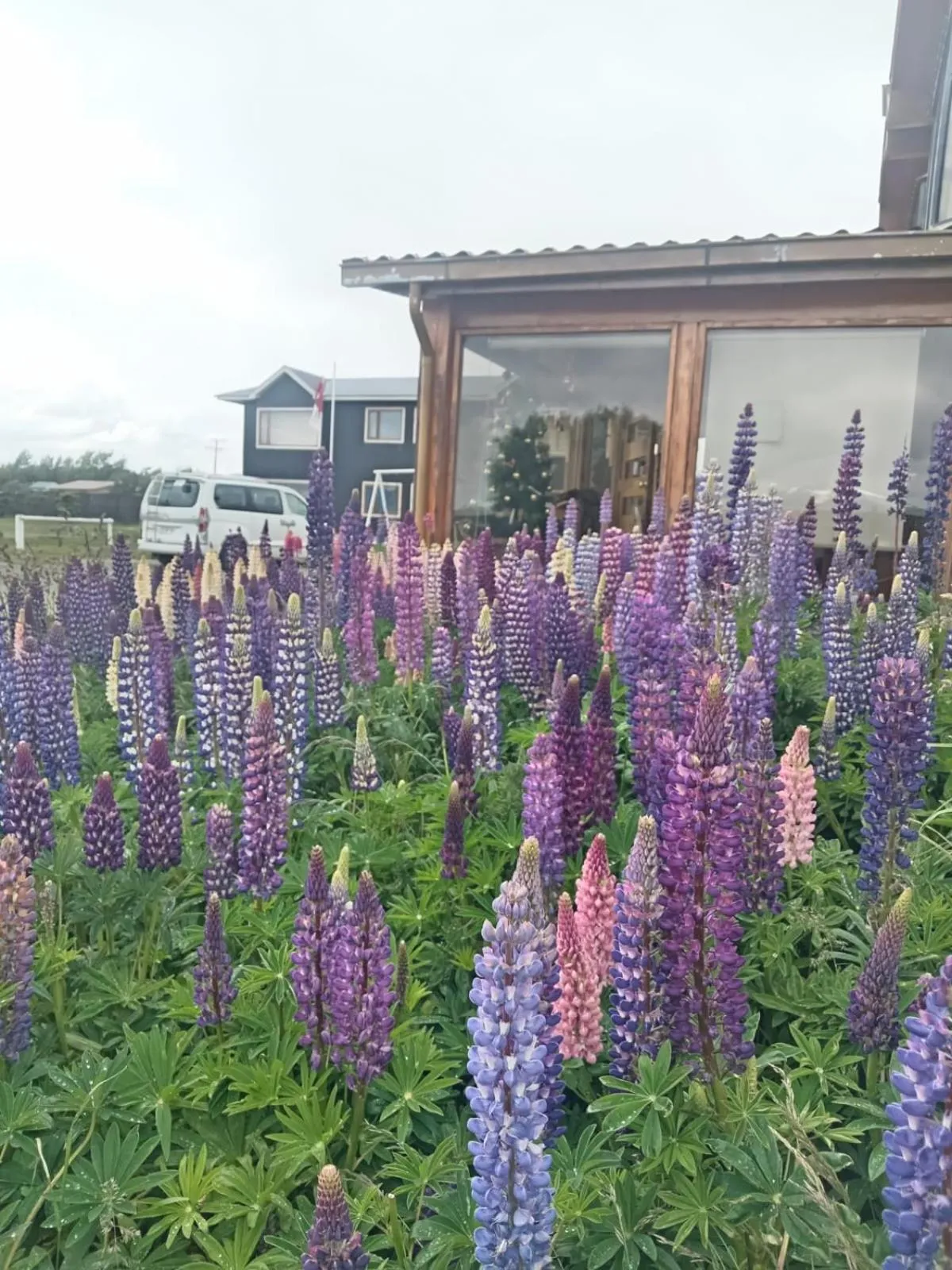 Spring in Hostal Doble E Patagonia