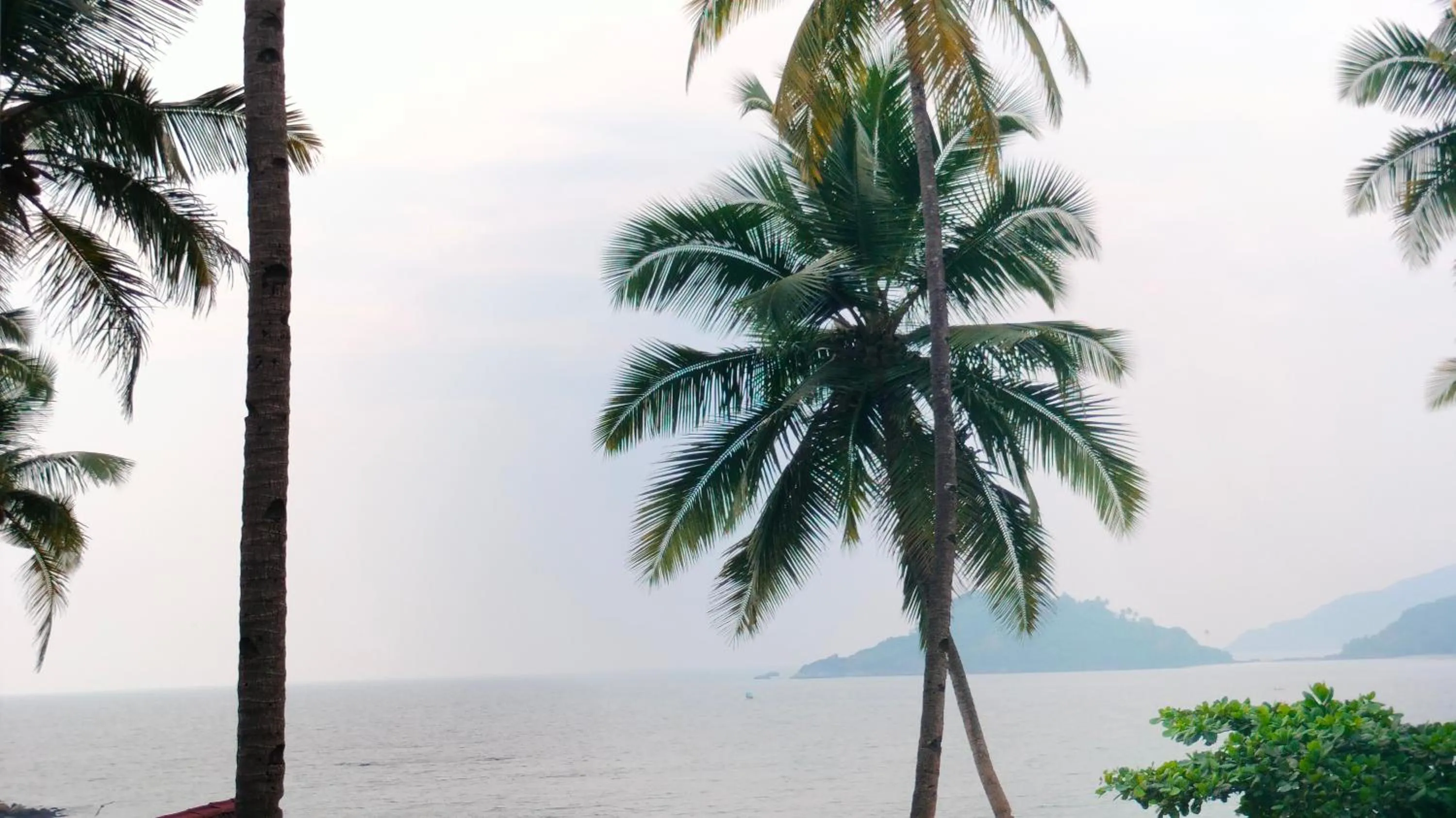 Hilltop Seaview Palolem Goa