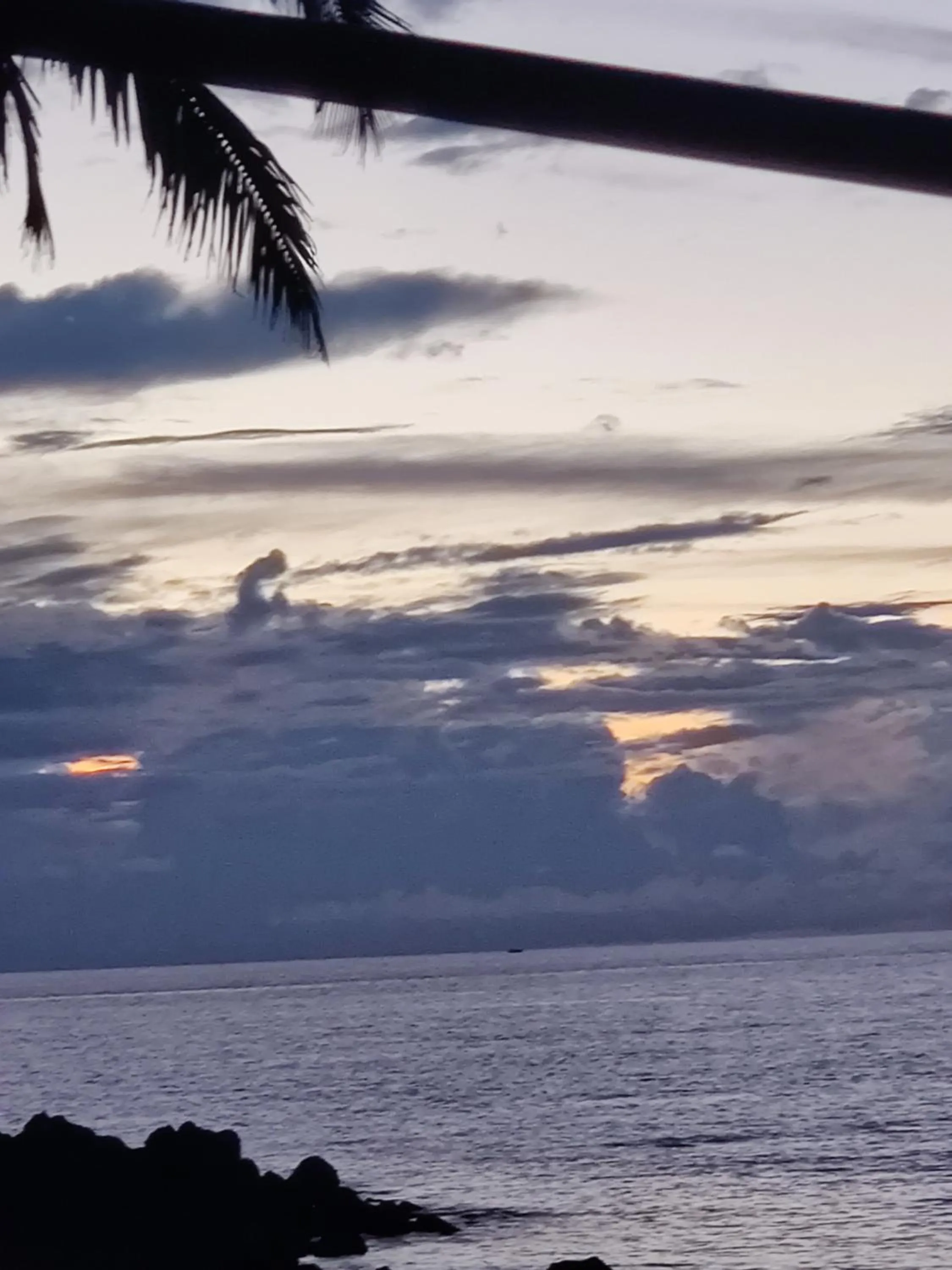 Hilltop Seaview Palolem Goa