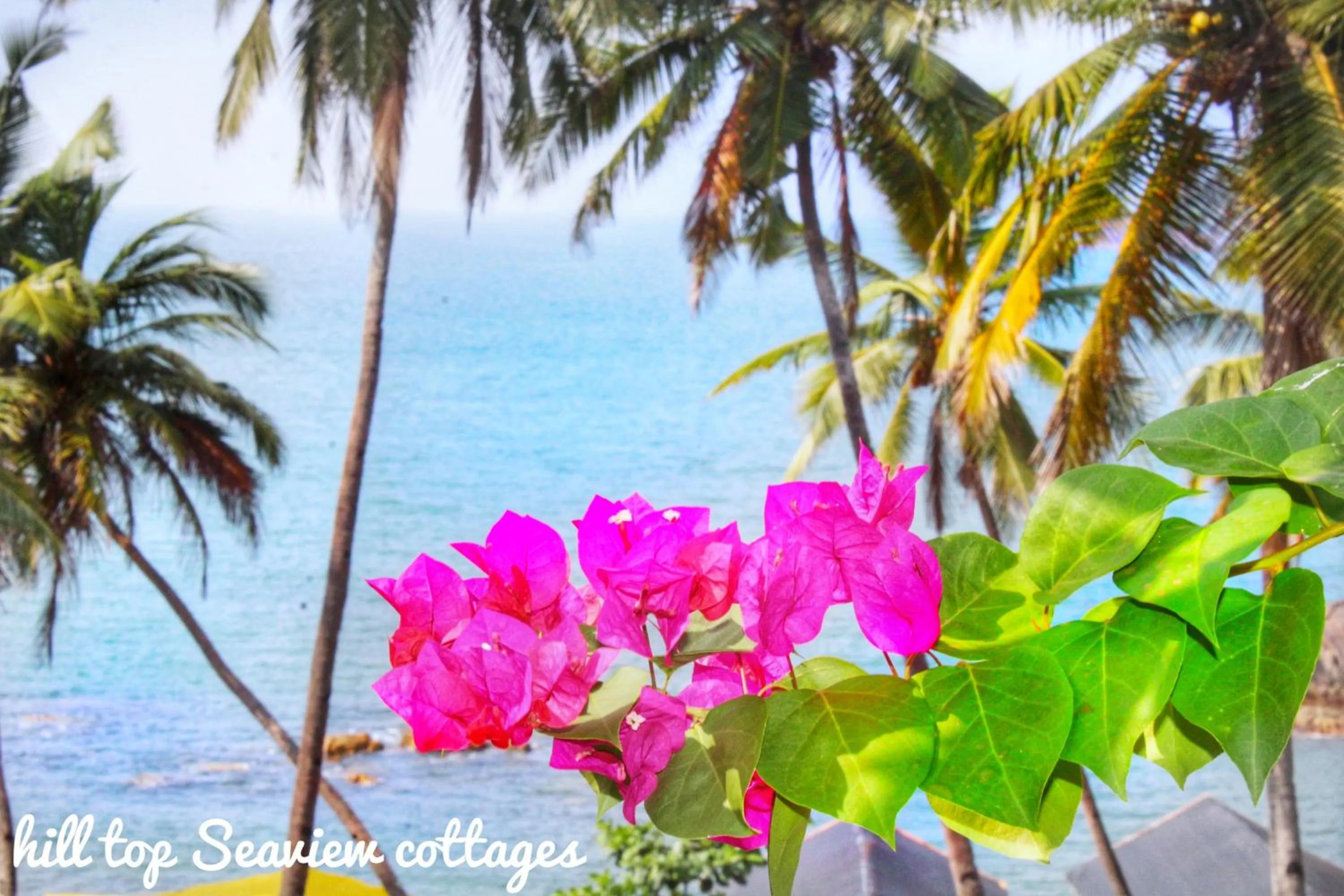 Hilltop Seaview Palolem Goa