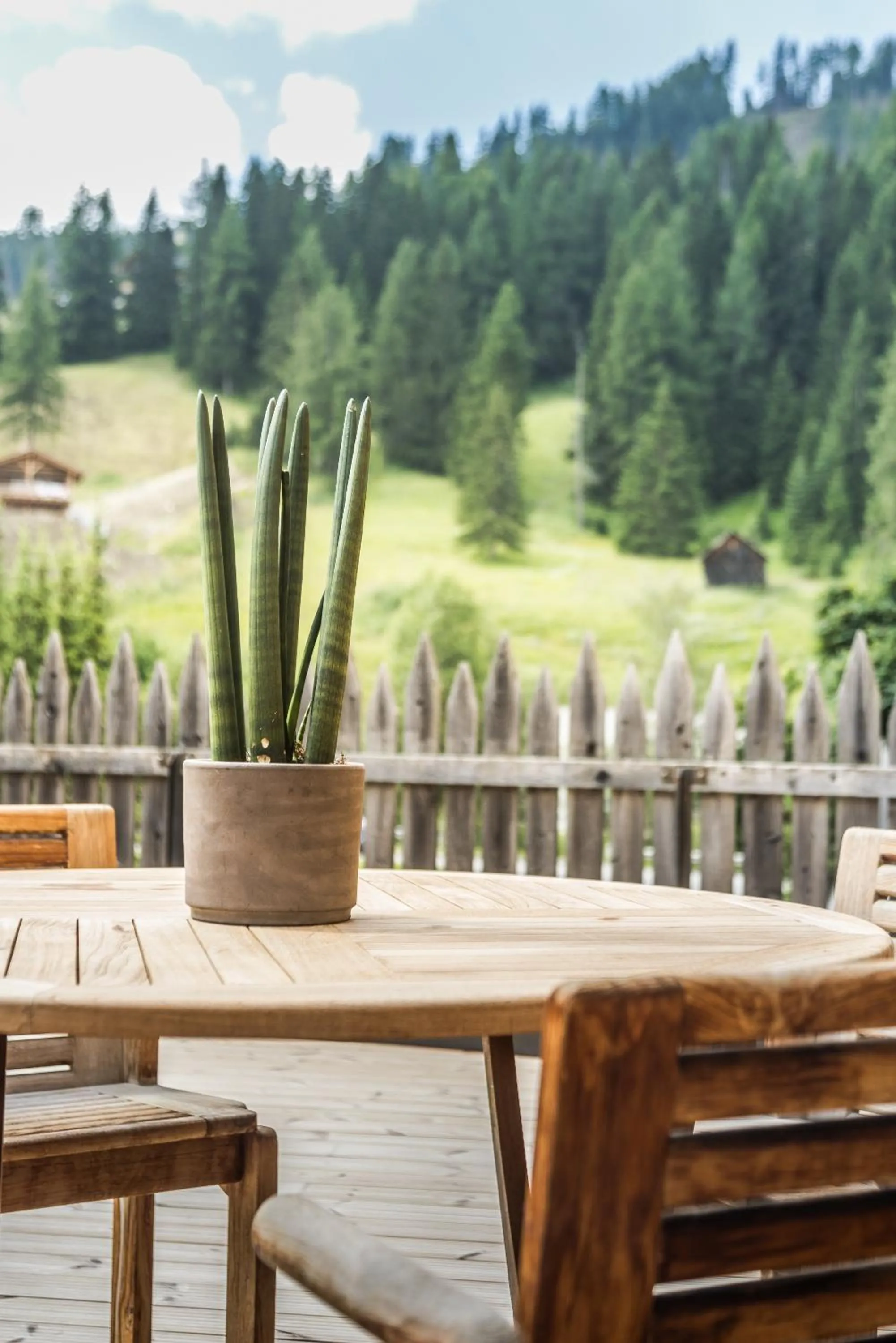 Spring in Appartamenti Residence Ada