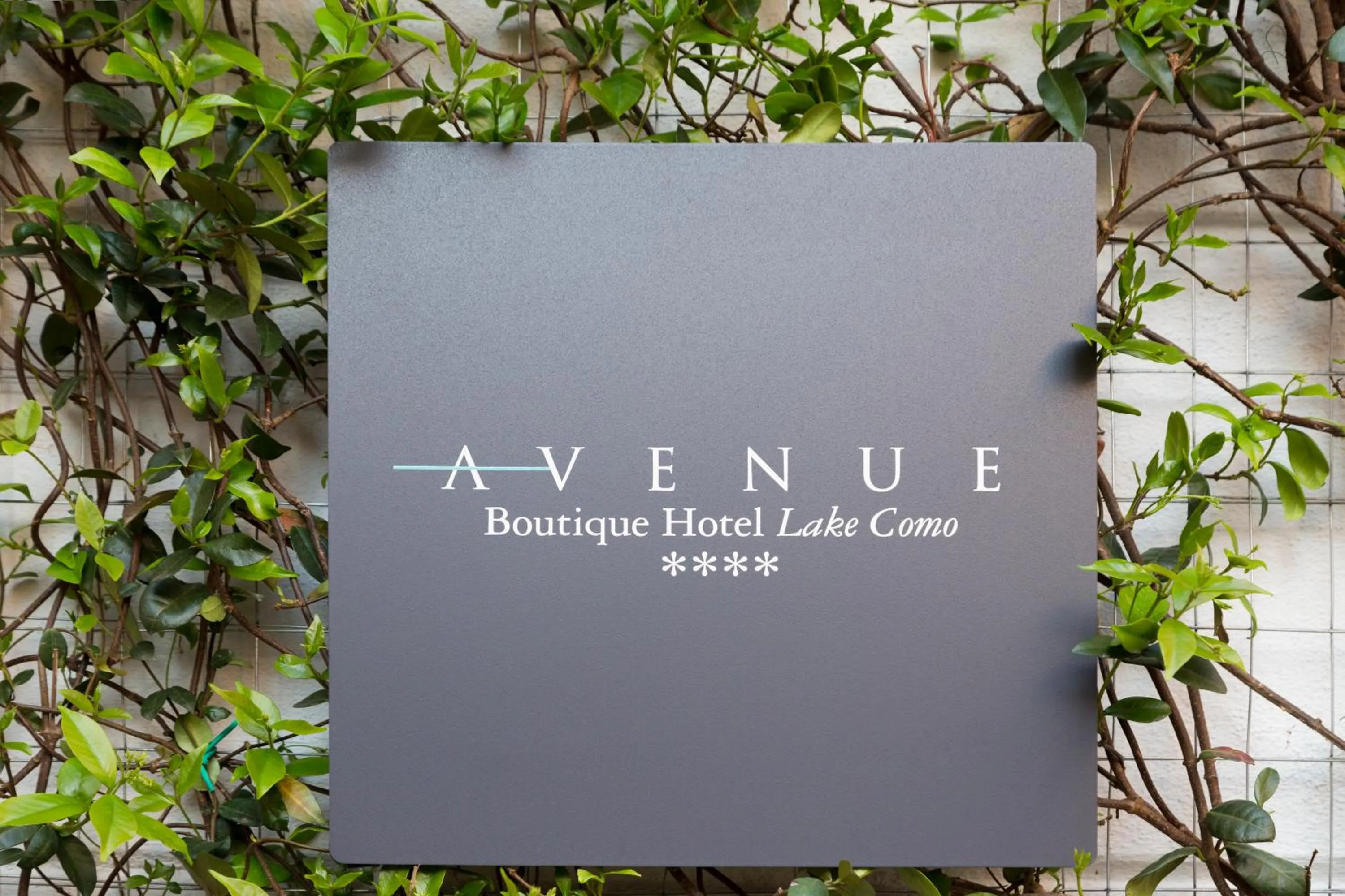 Property logo or sign in Avenue Boutique Hotel