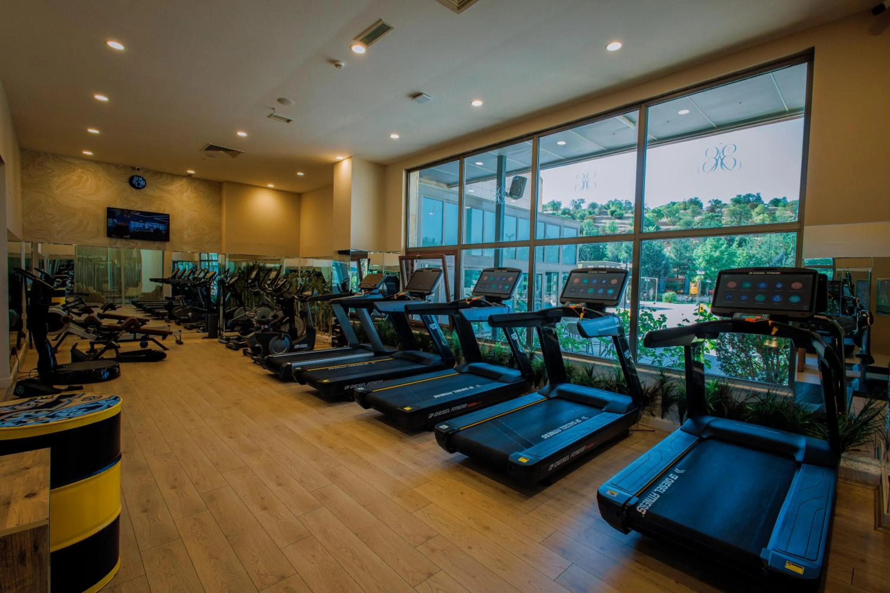 Fitness centre/facilities in Ramada Plaza by Wyndham Mardin