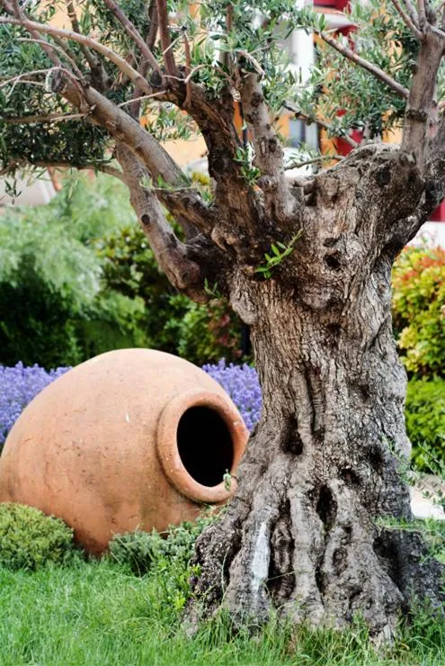 Garden in Marina Cape Vacation Complex