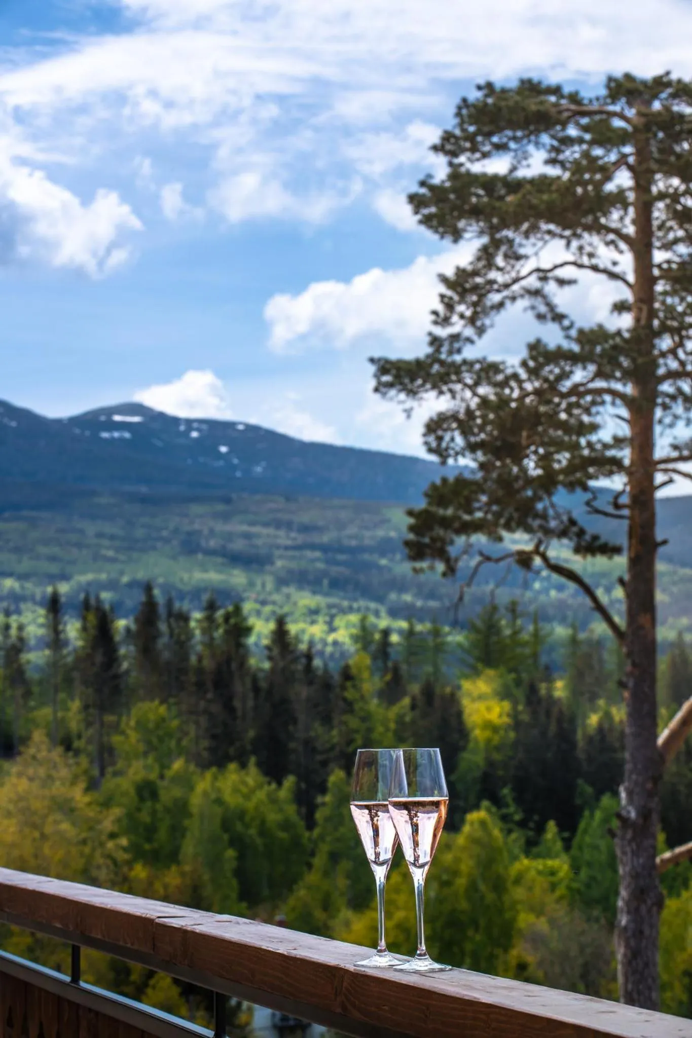 Spring in Hotel Seidorf