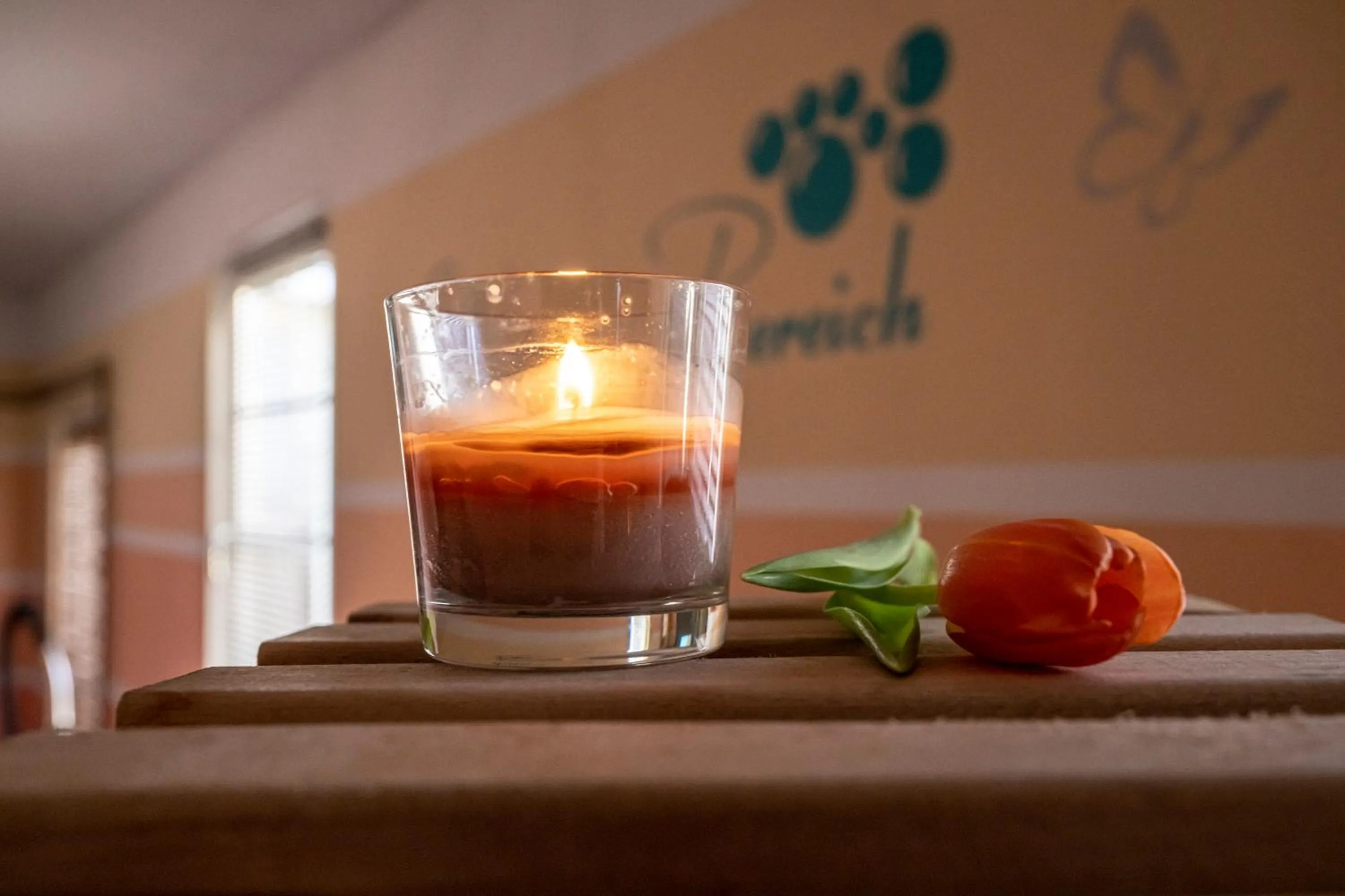 Sporthotel Glück Auf Mönchenfrei