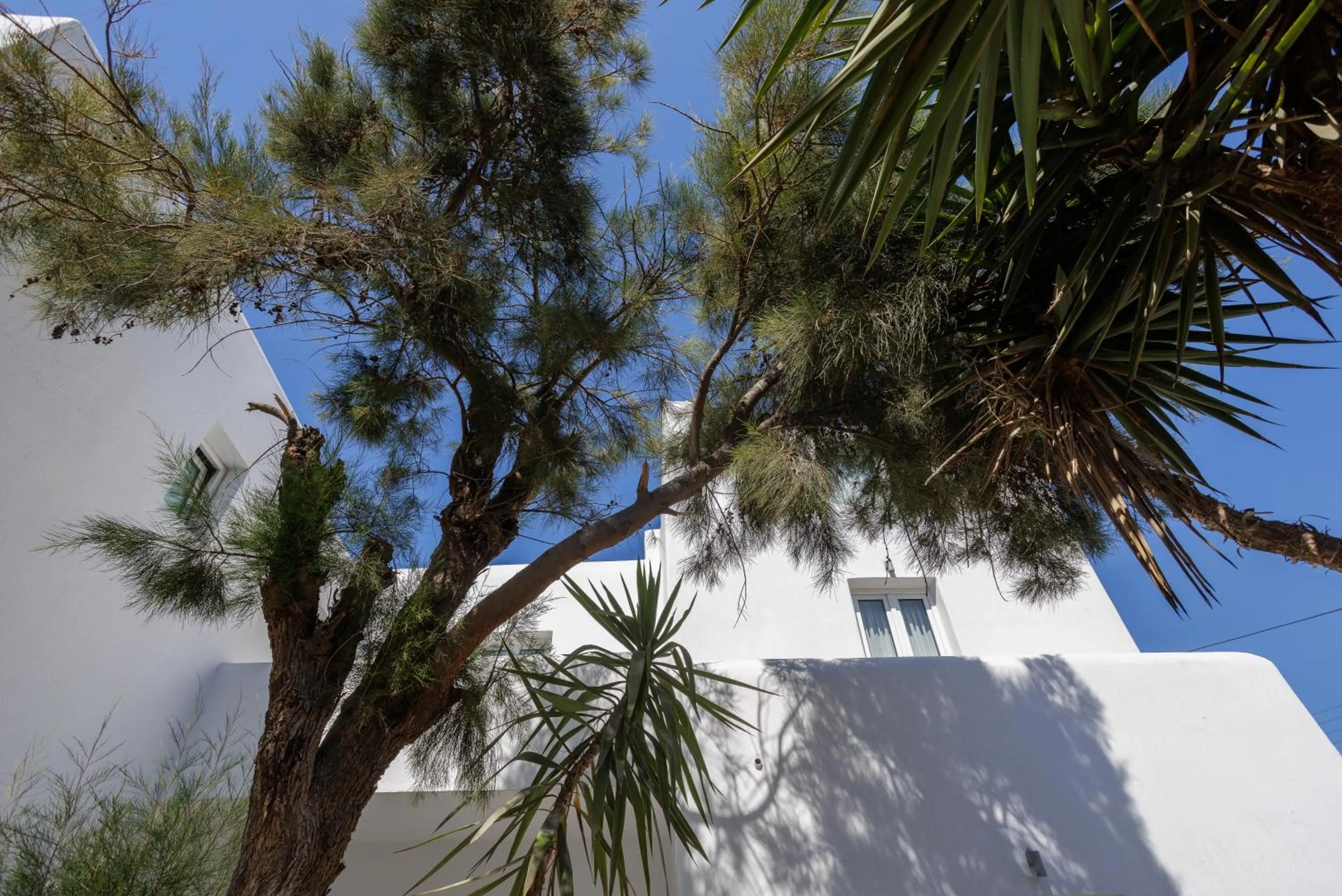 Property building in Elena Studios & Suites