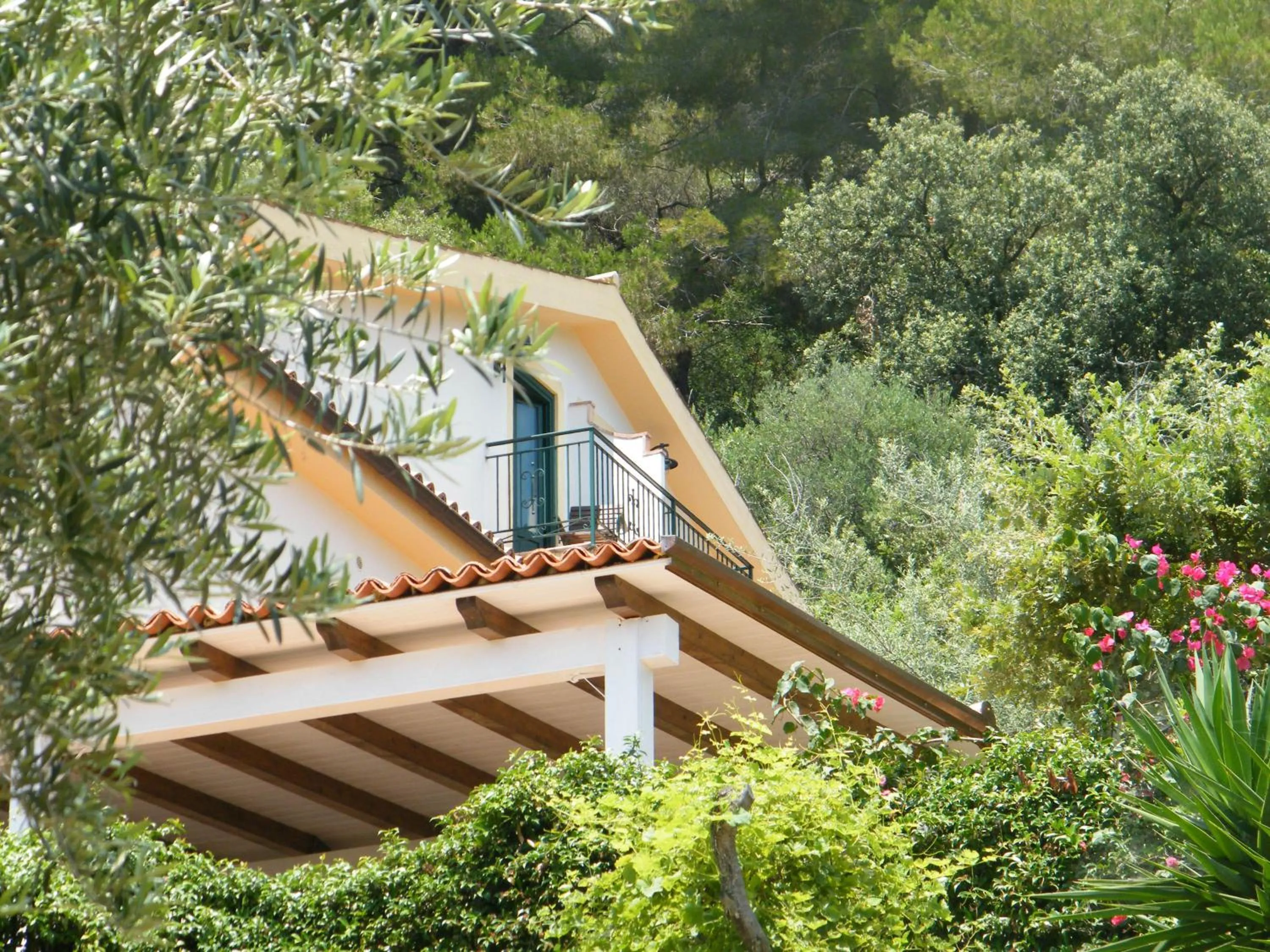 Facade/entrance in Hotel Villa Delle Meraviglie