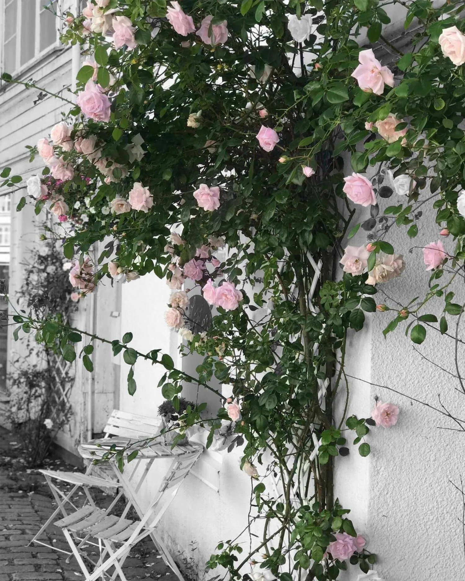 Neighbourhood in Tvedestrand Fjordhotell - Unike Hoteller