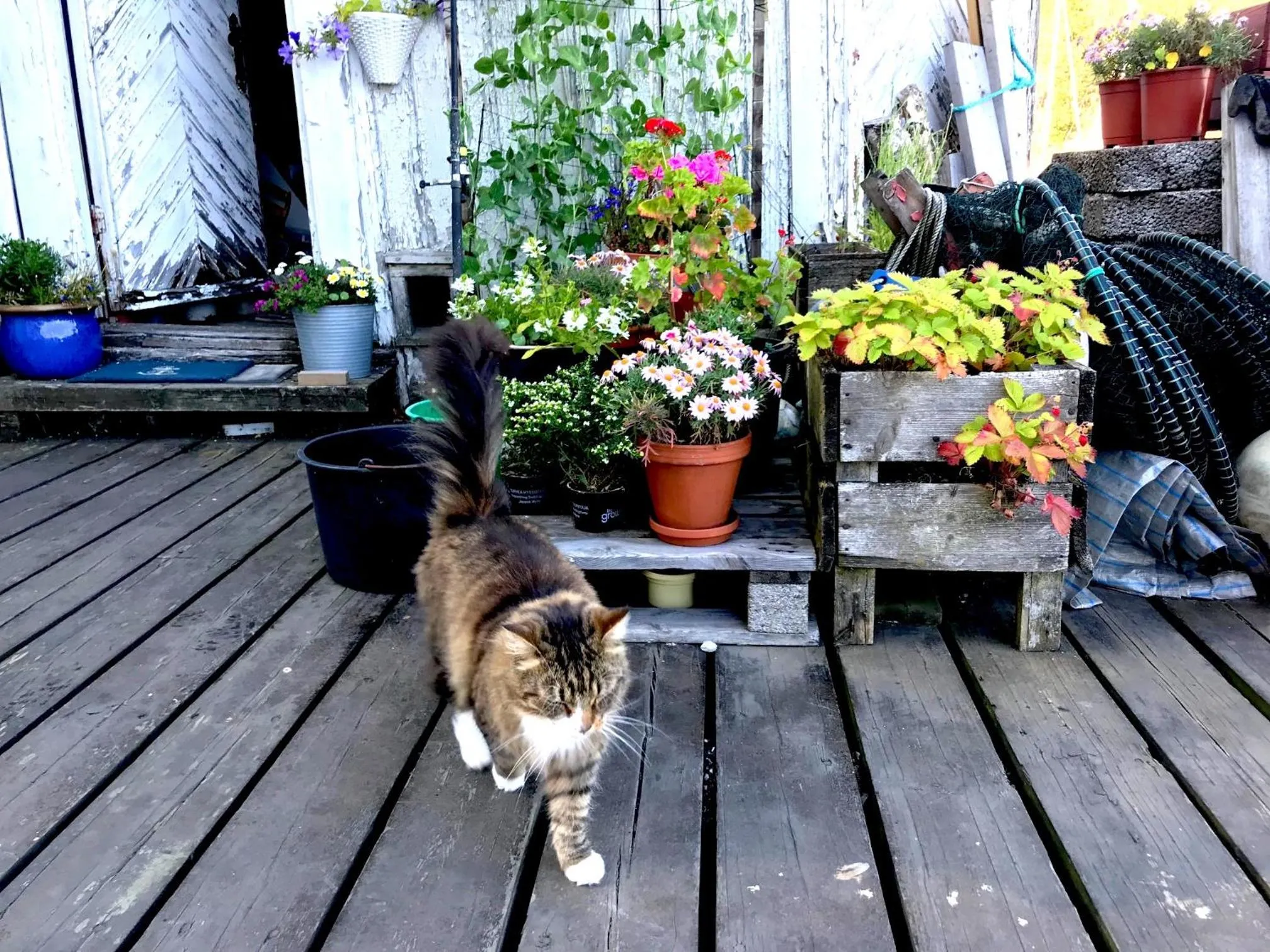 Neighbourhood in Tvedestrand Fjordhotell - Unike Hoteller