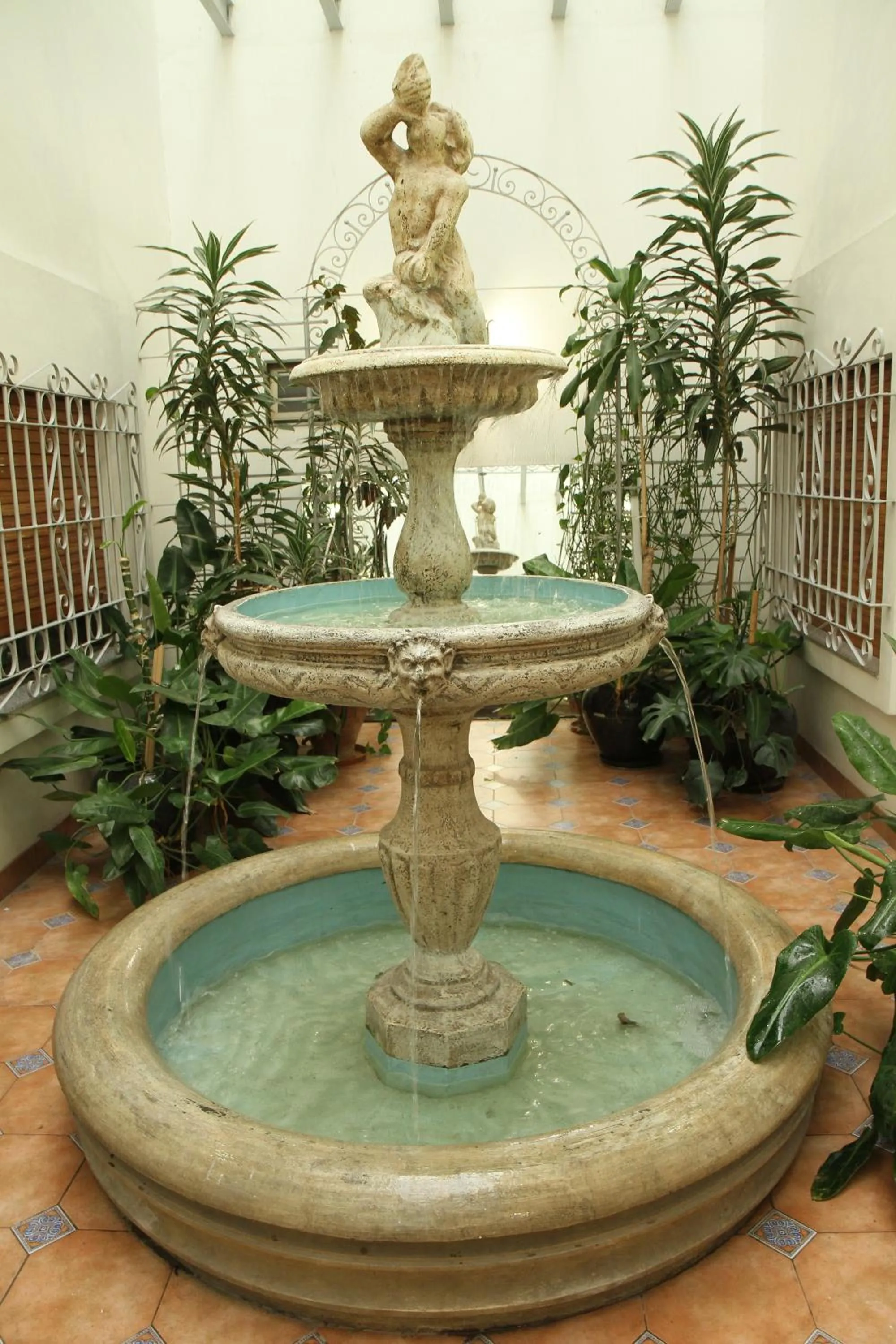 Garden in Gran Hotel Ailen