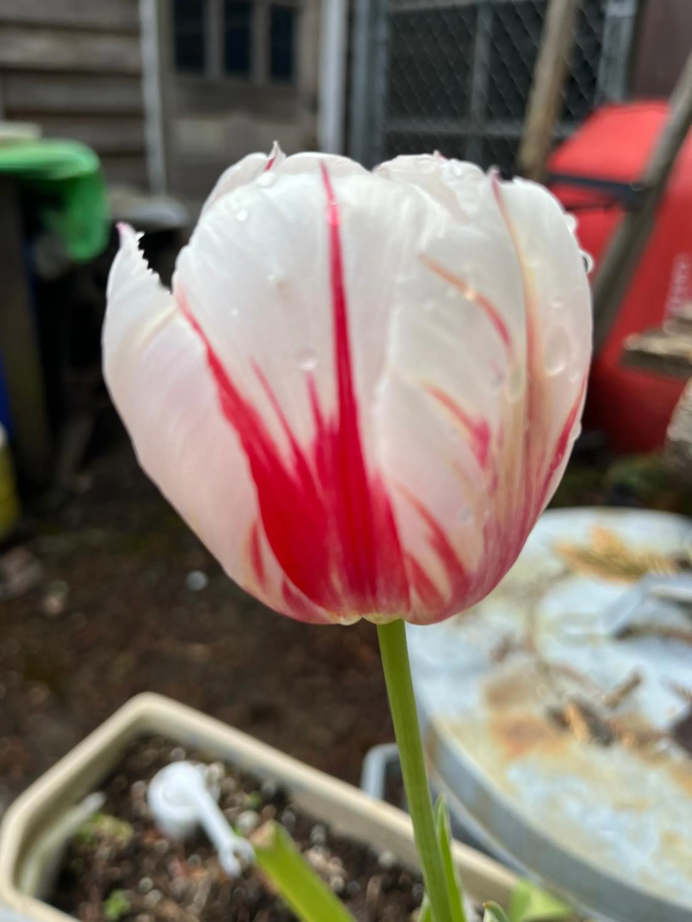 Cycle Inn Bed and Breakfast