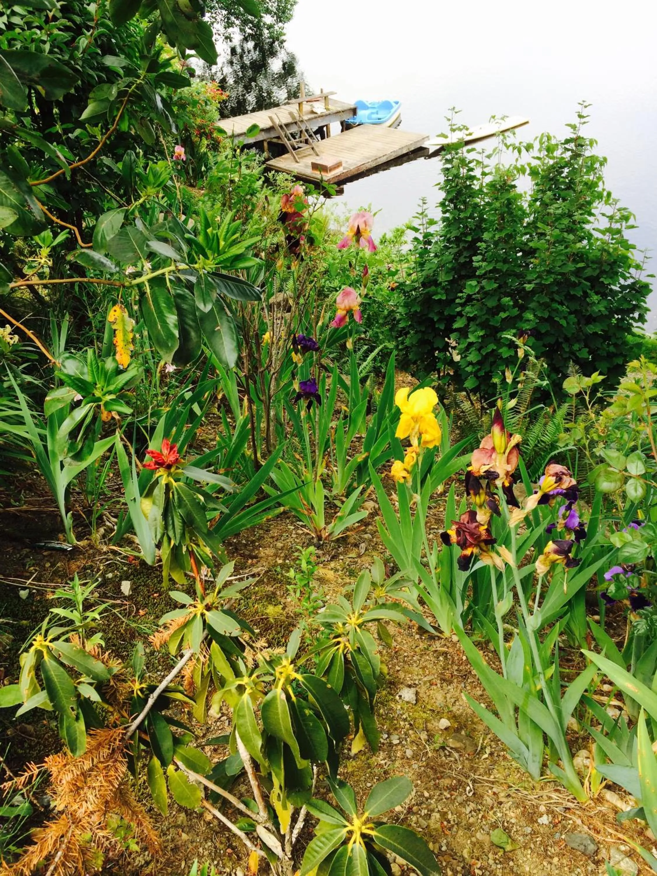 Swimming pool in Cycle Inn Bed and Breakfast