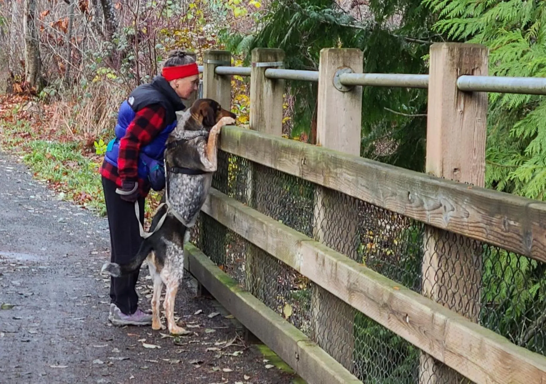 Cycle Inn Bed and Breakfast