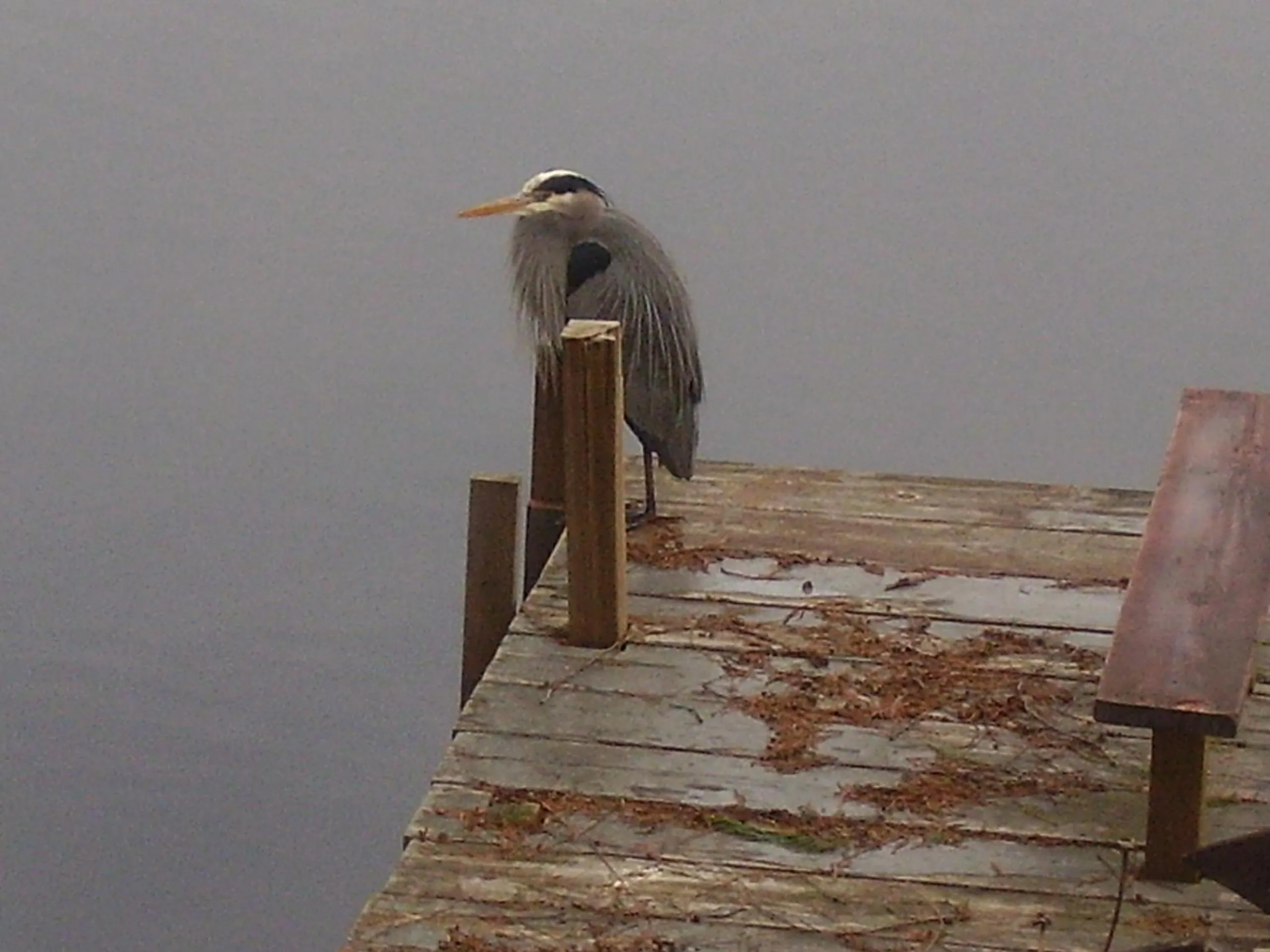 Facade/entrance in Cycle Inn Bed and Breakfast