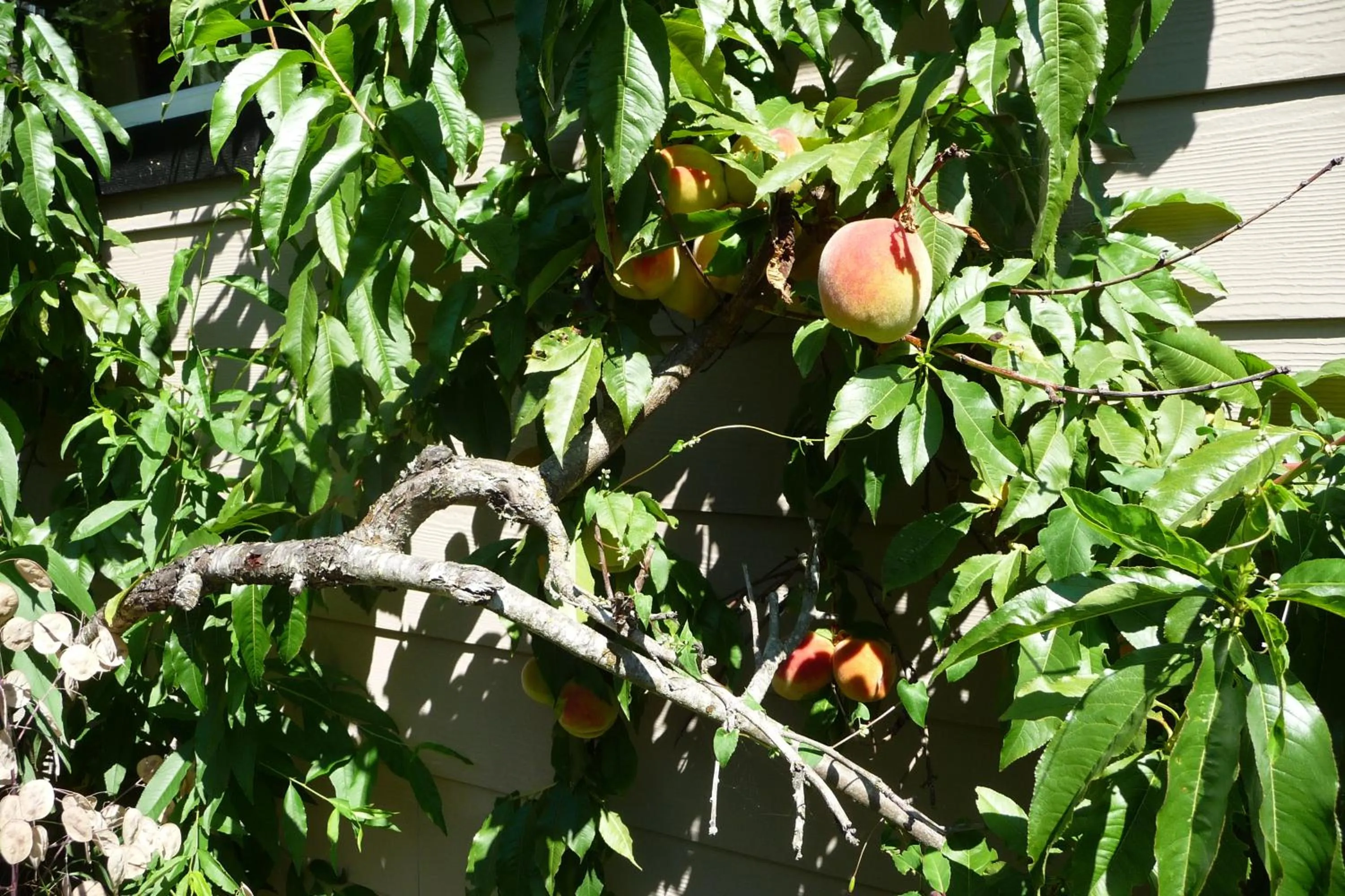 Decorative detail in Cycle Inn Bed and Breakfast