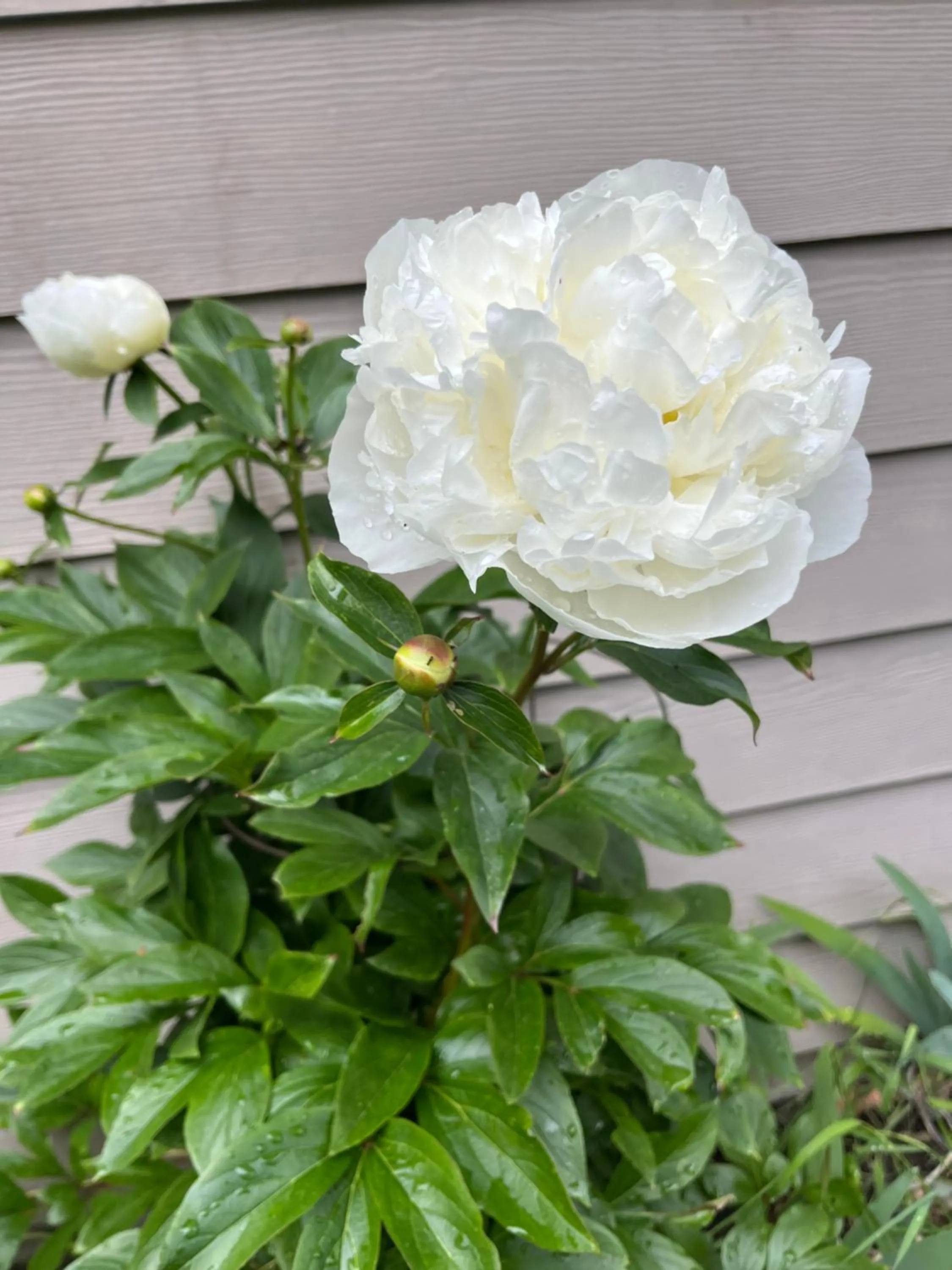 Cycle Inn Bed and Breakfast