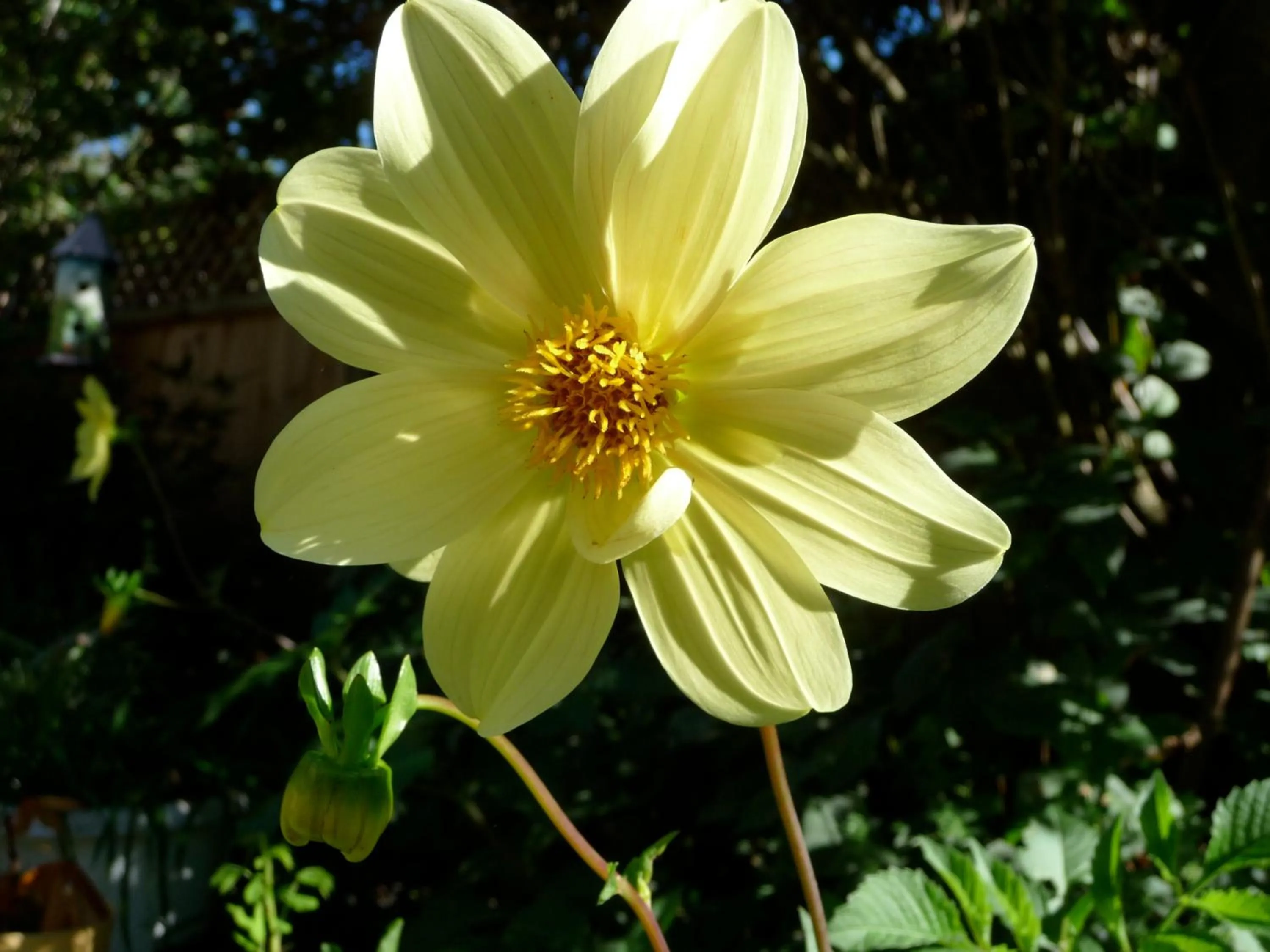 Garden in Cycle Inn Bed and Breakfast