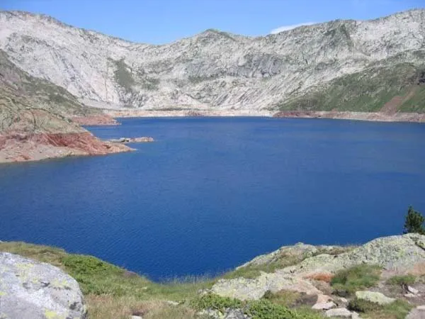 Area and facilities in Hotel Marxant