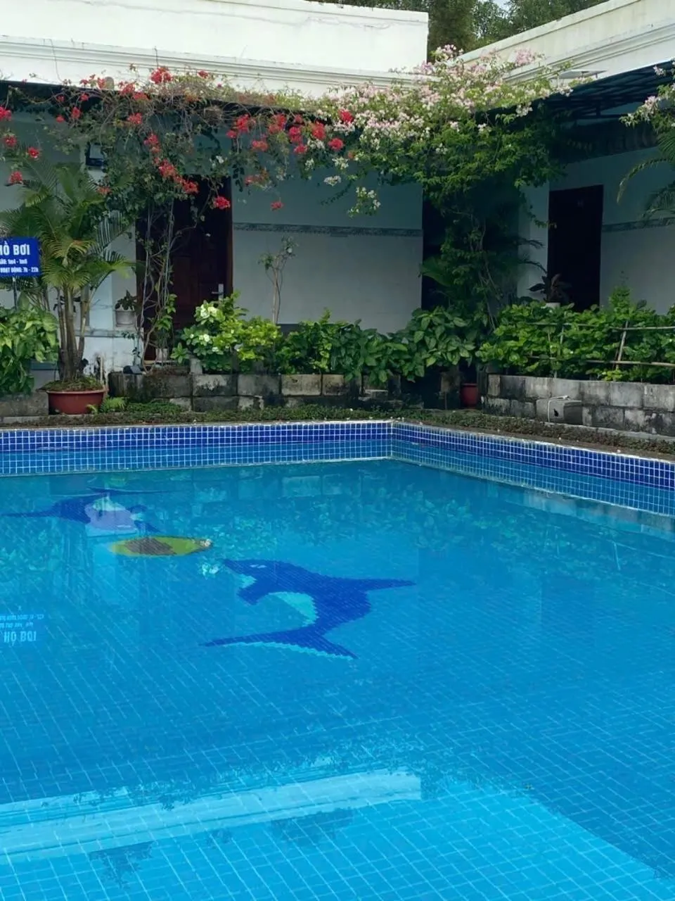 Swimming pool in Hotel Nguyên Toàn