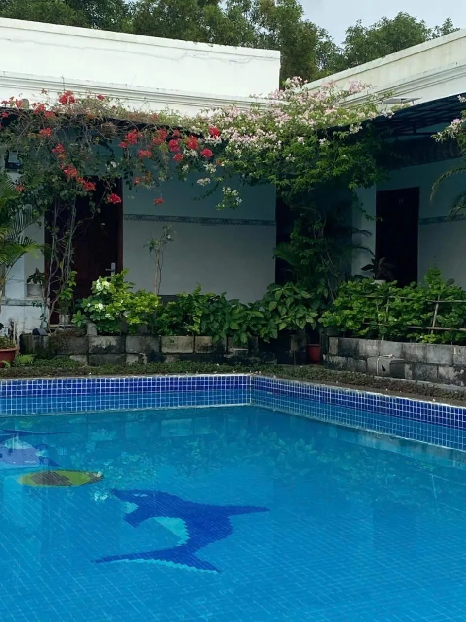 Swimming pool in Hotel Nguyên Toàn