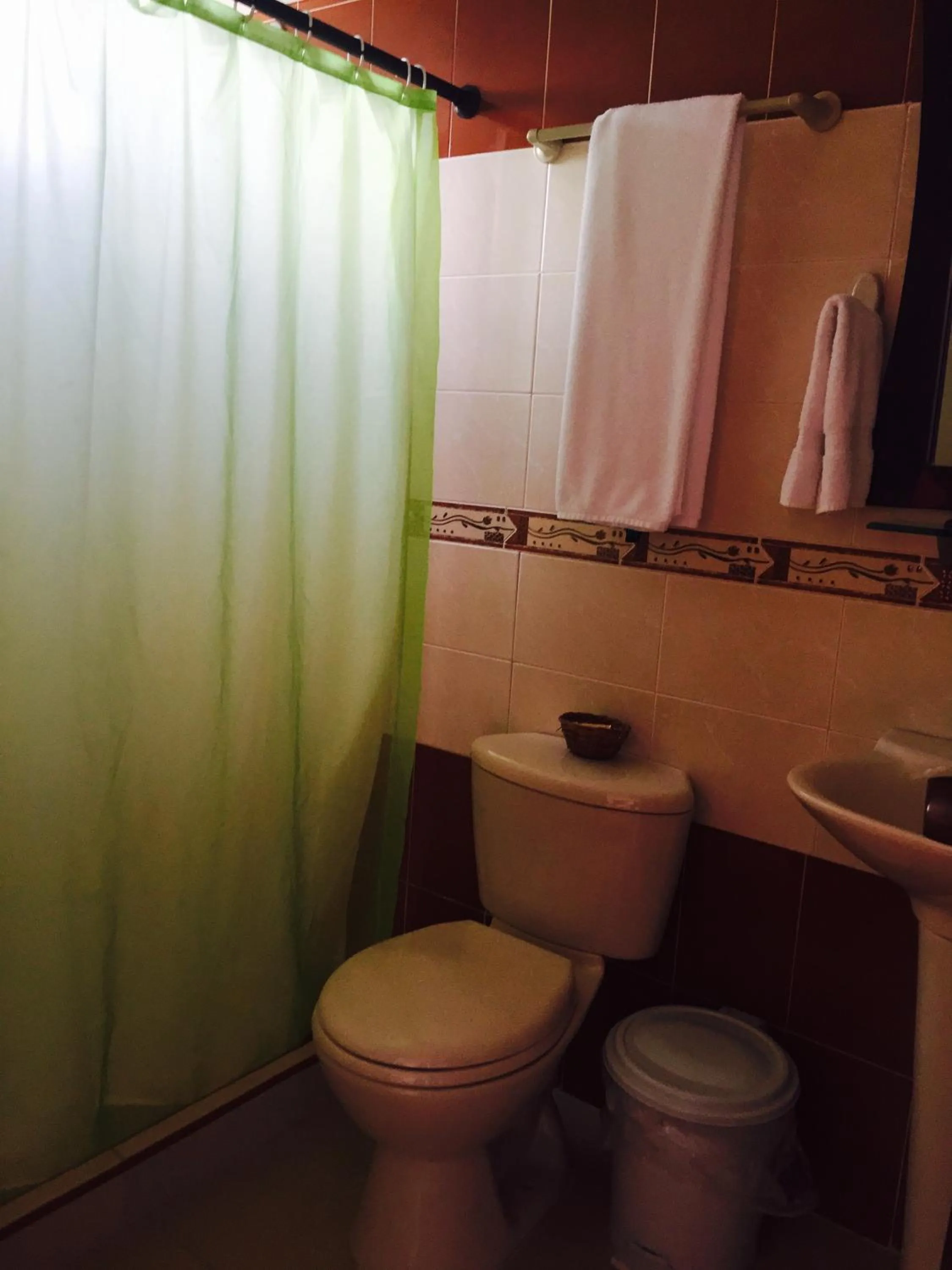 Bathroom in Hotel La Terraza