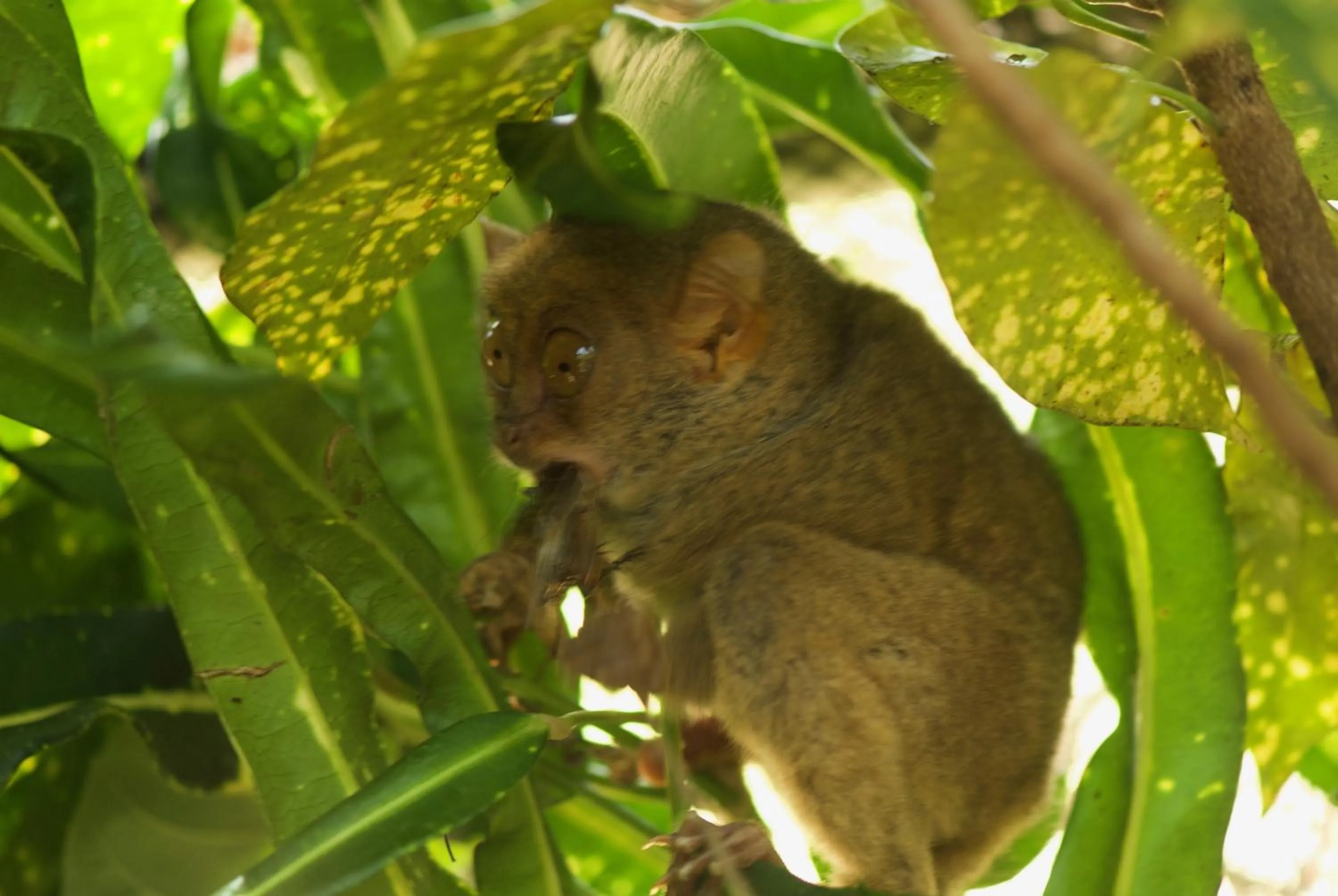 Nearby landmark in Rene's Resort