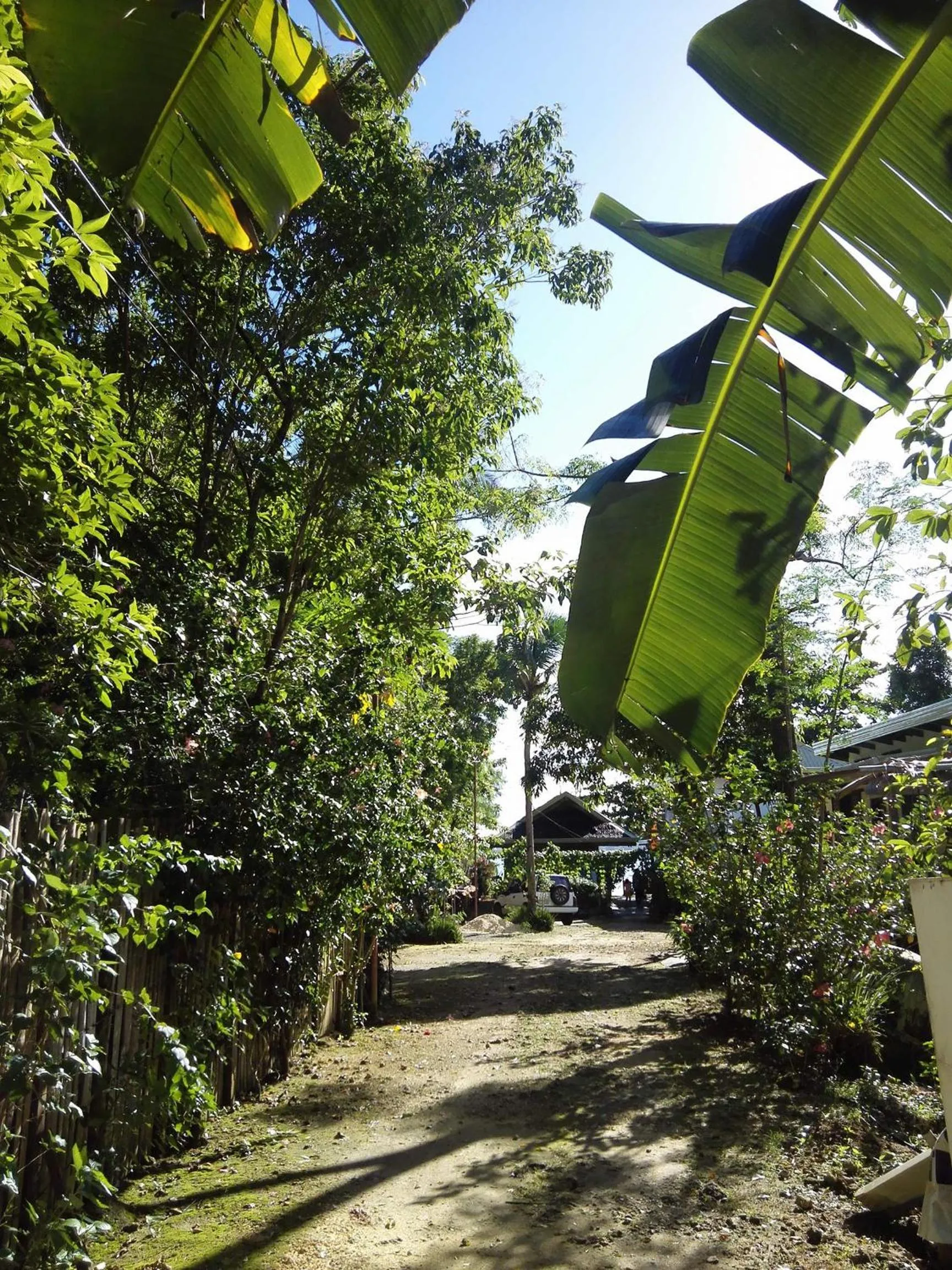 Property building in Rene's Resort