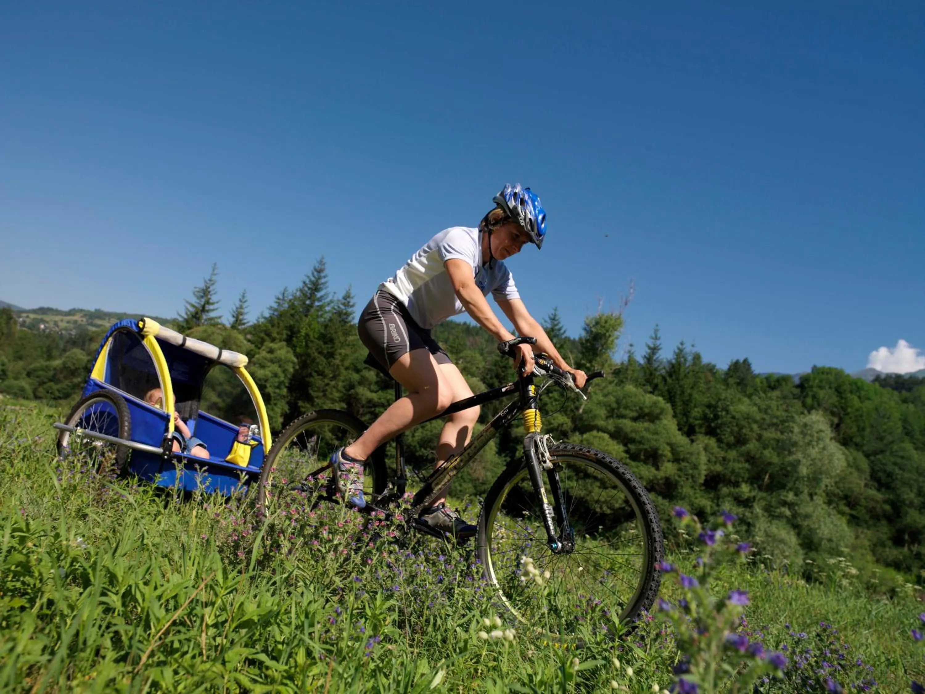 Day in Aparthotel Wellness Villa di Bosco