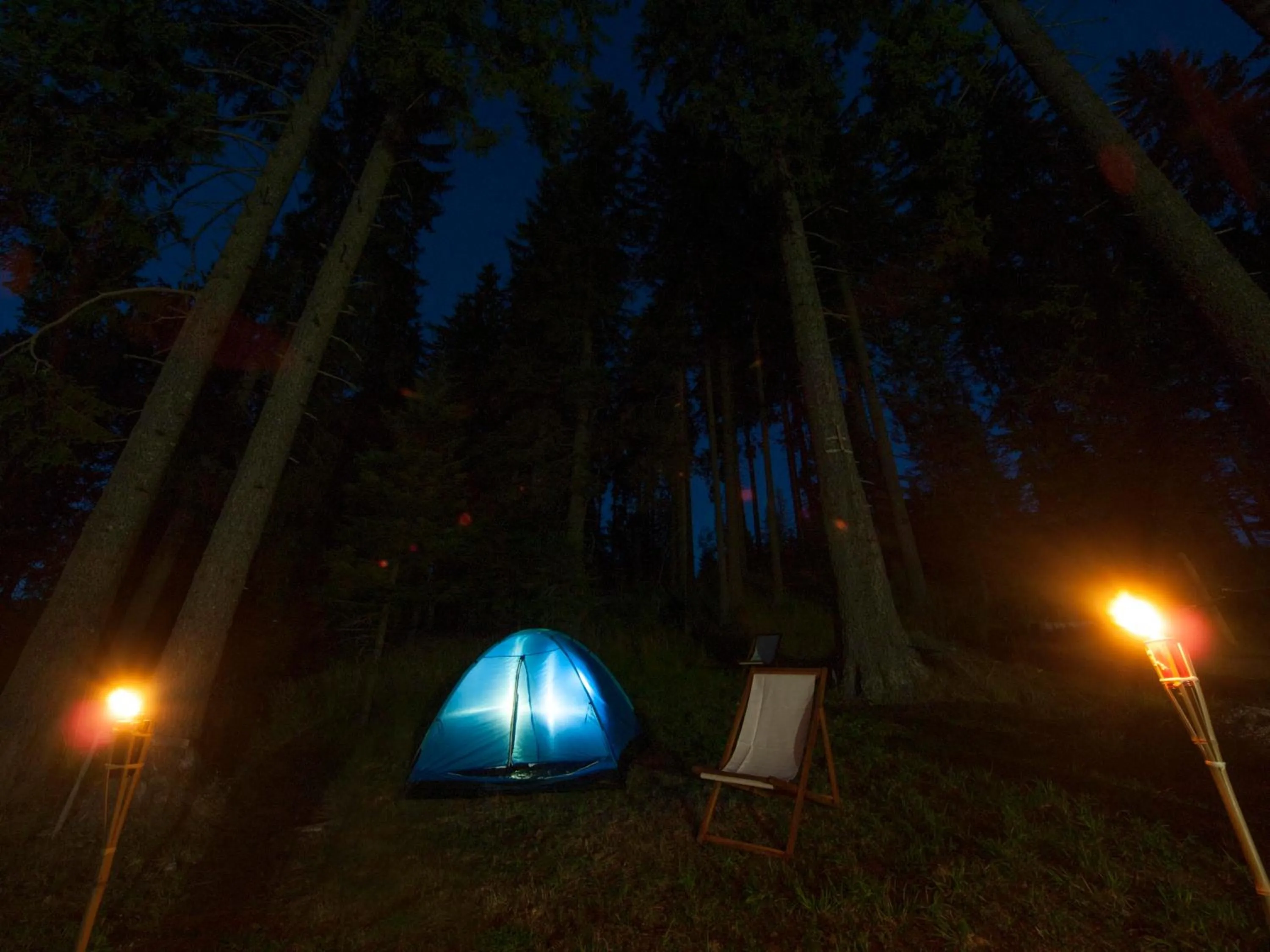 Garden in Green Life Family Apartments Pamporovo