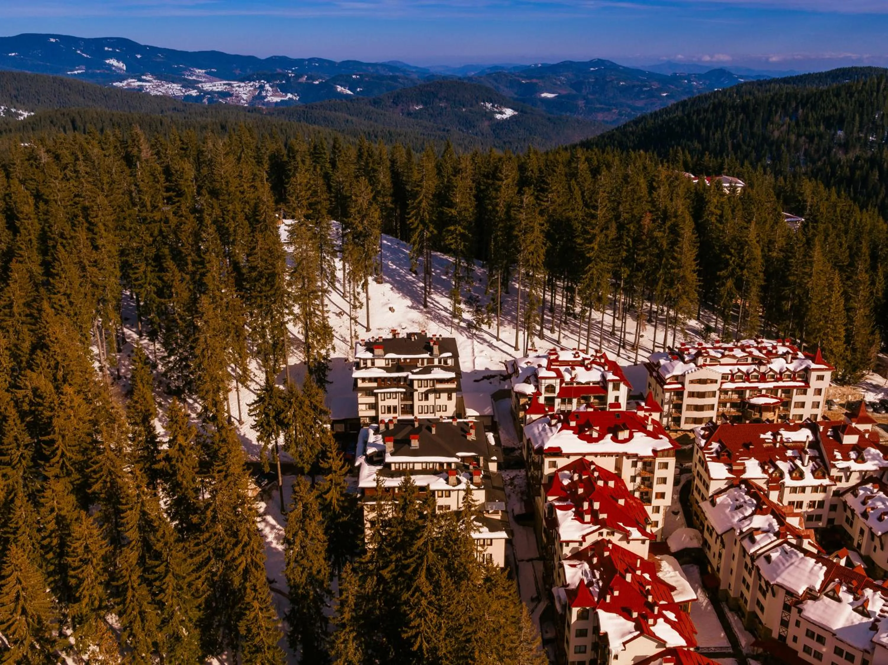 Bird's eye view in Green Life Family Apartments Pamporovo