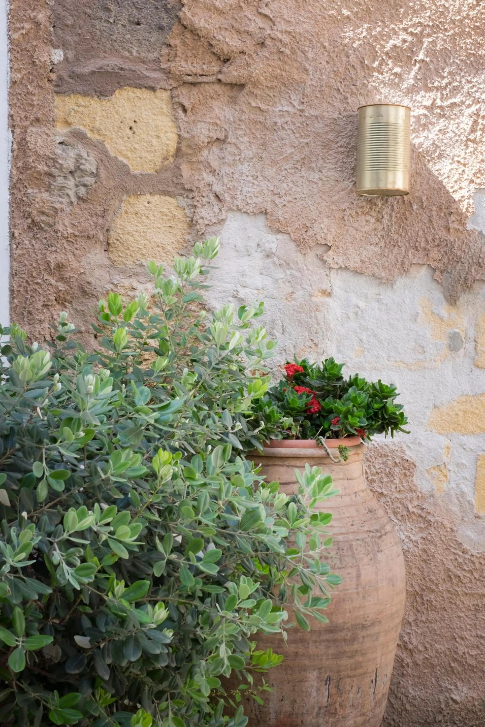 Garden view in Palazzo Brunaccini Boutique Hotel