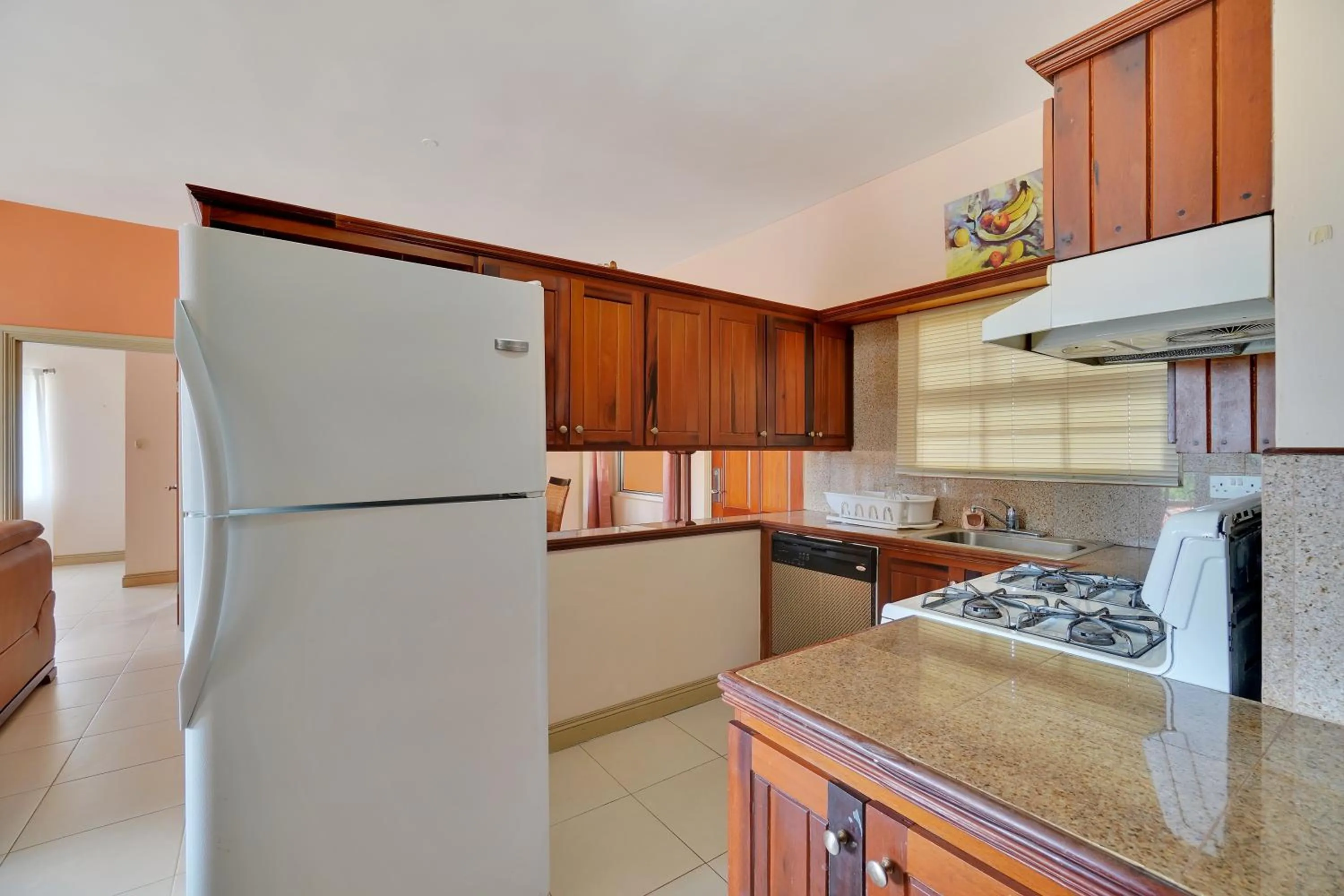 Kitchen or kitchenette in Mandela Court Suites Grenada
