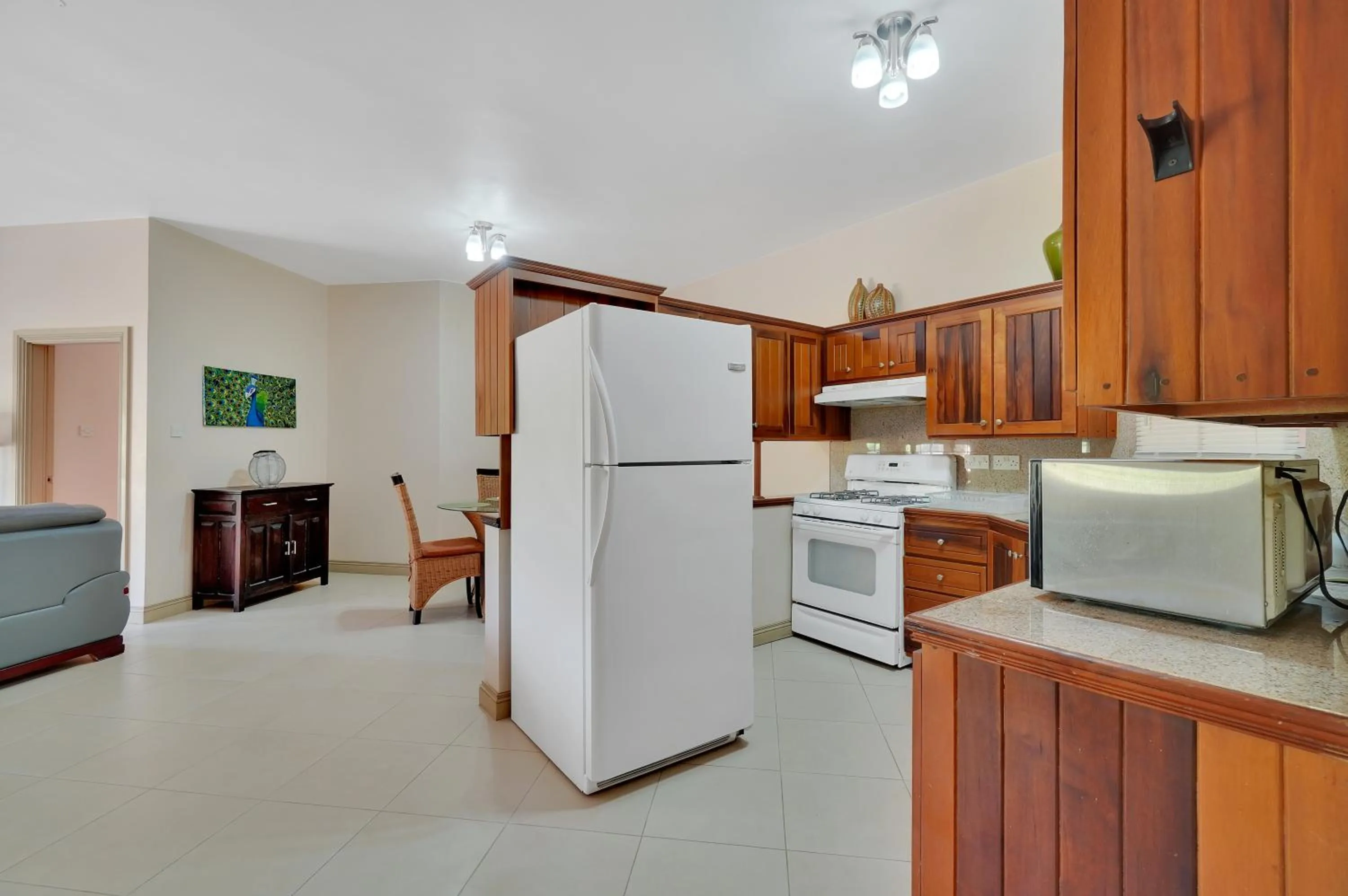 Kitchen or kitchenette in Mandela Court Suites Grenada
