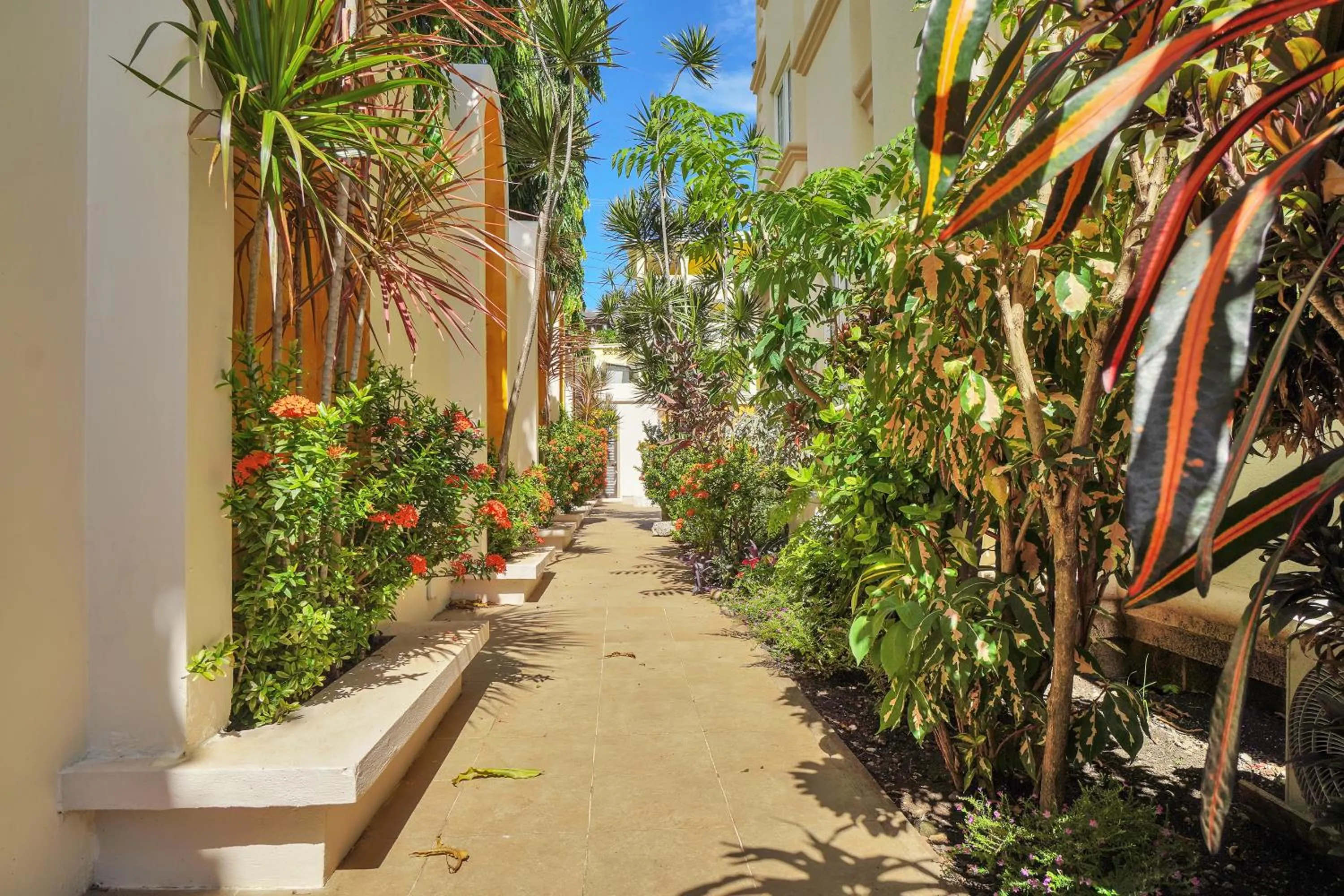 Property building in Mandela Court Suites Grenada