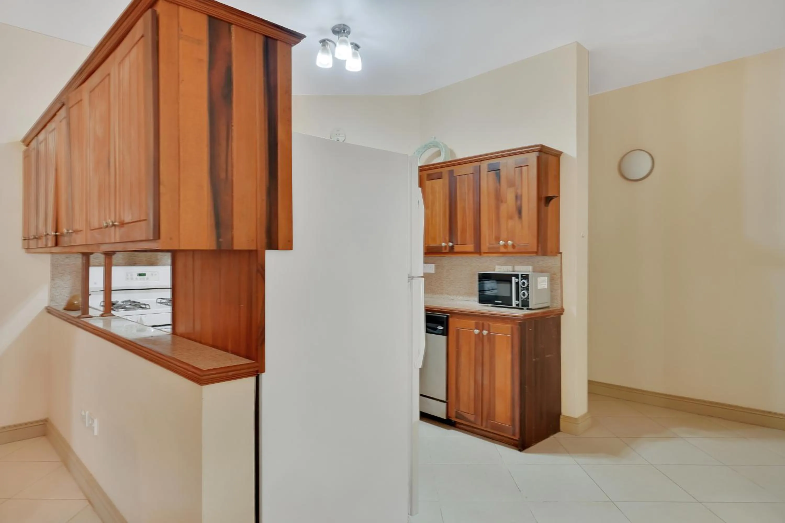Kitchen or kitchenette in Mandela Court Suites Grenada