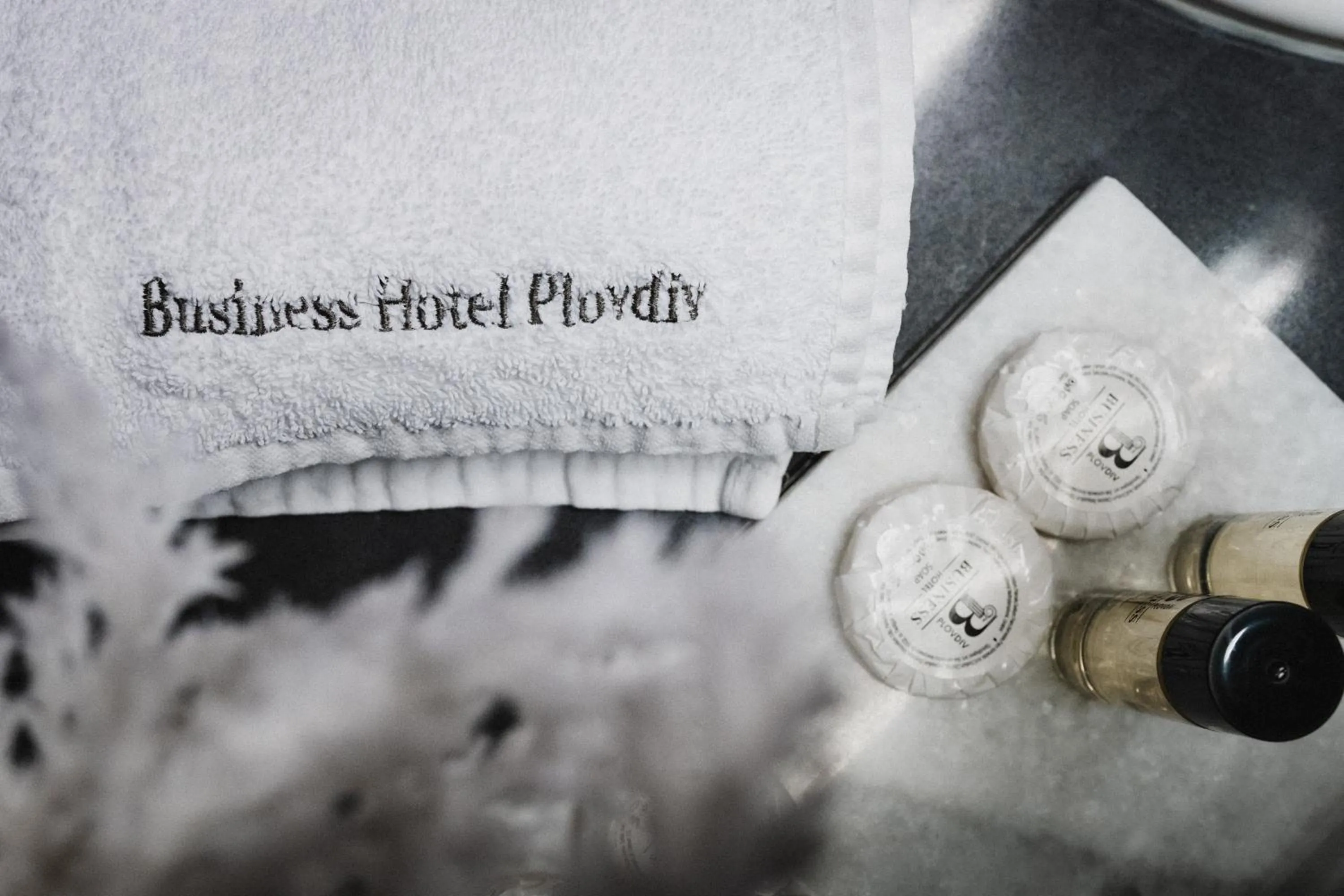 Decorative detail in Business Hotel Plovdiv - Central Location