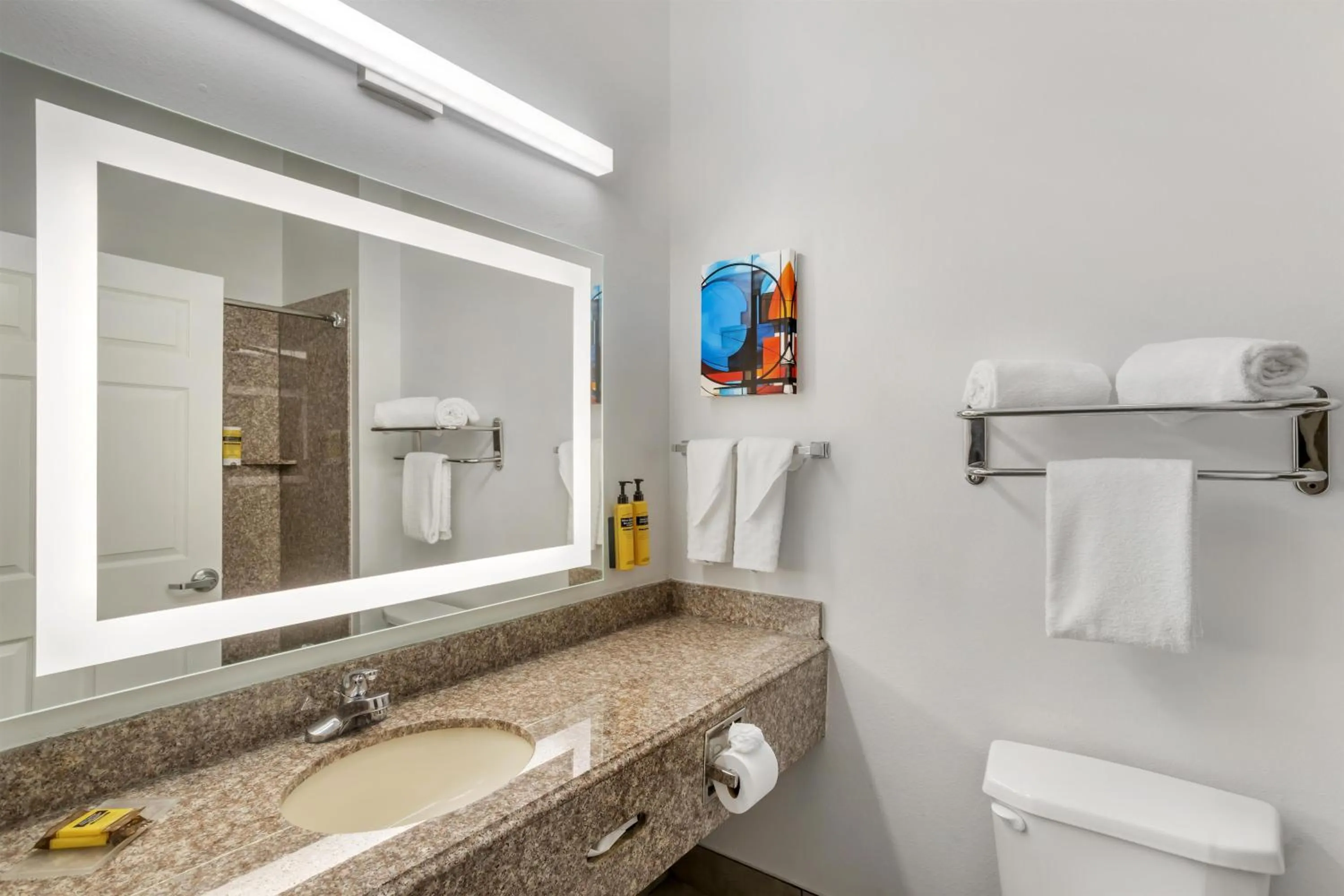 Bathroom in Best Western Plus New Caney Inn & Suites