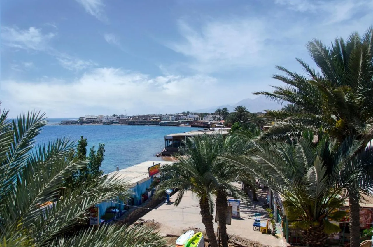 View (from property/room) in New Yalla Hotel