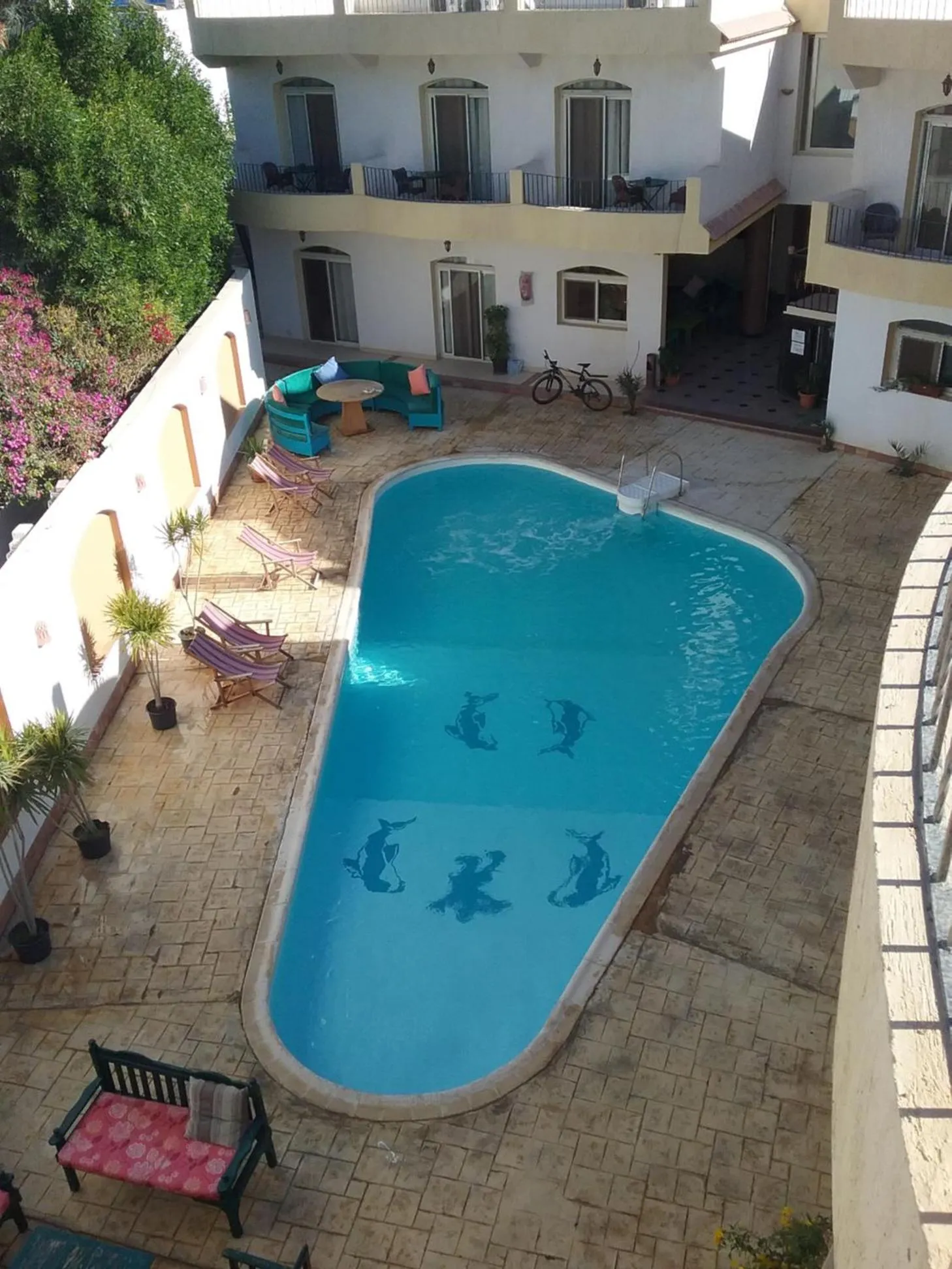 Pool view in New Yalla Hotel