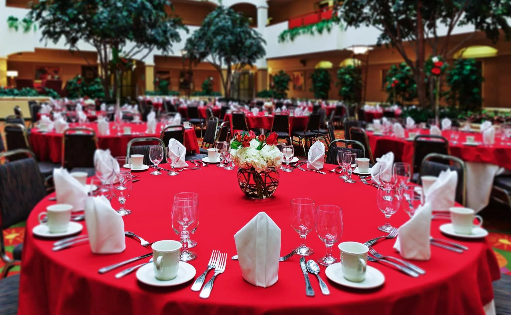Banquet/Function facilities in Holiday Inn & Suites Springfield - I-44 by IHG