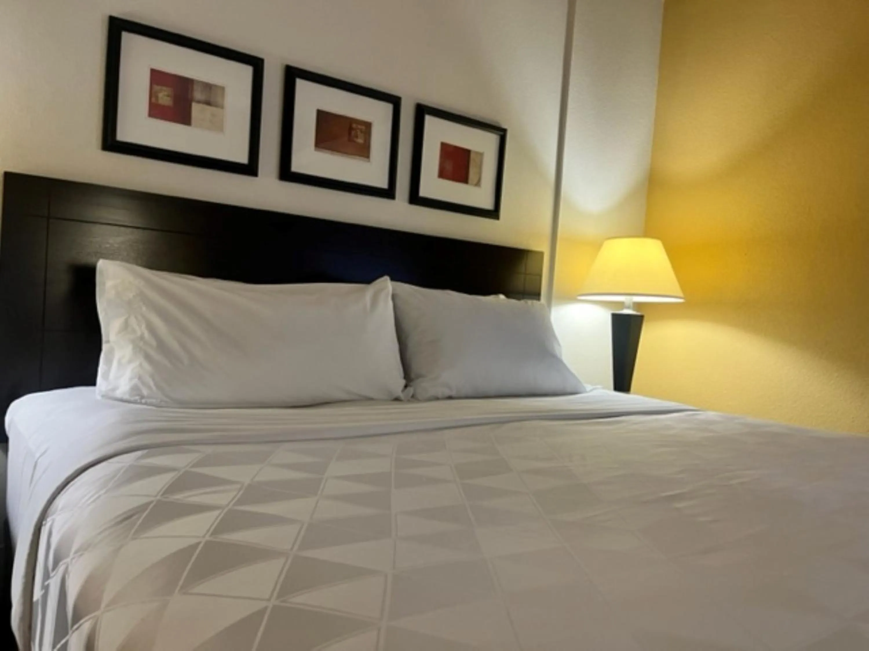 Photo of the whole room, Bed in Holiday Inn & Suites Springfield - I-44 by IHG